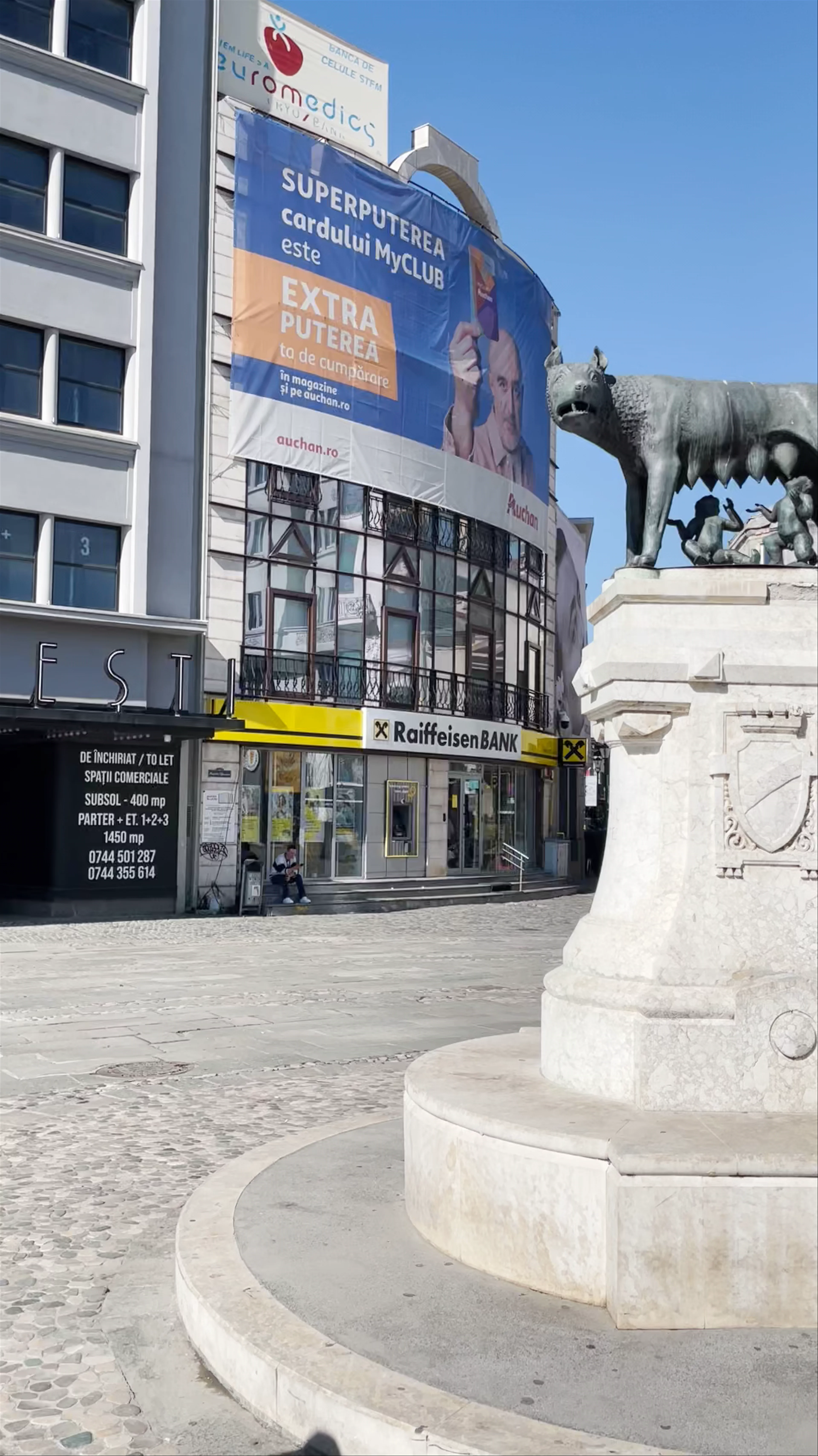Lupa Capitolina, Boulevard Ion C. Brătianu