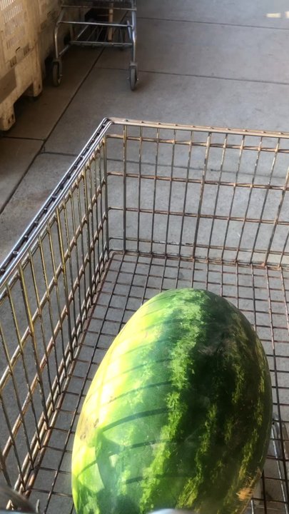 Davis Ranch, LLC - I didn't know there were so many different types of pumpkins. They still have yummy watermelons too! - Fruits & Veggies Near Me - Sloughhouse, California