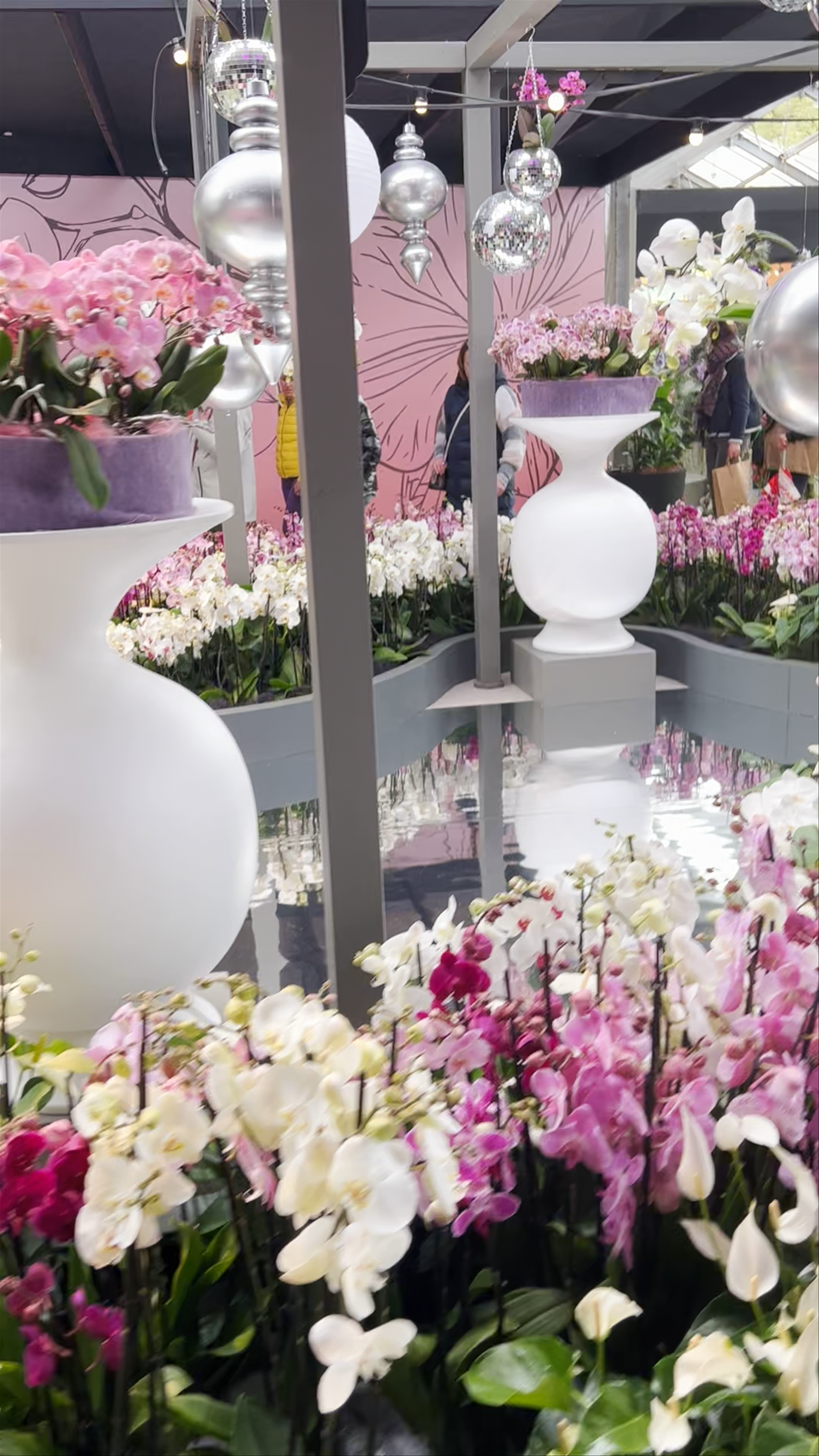 Beatrix Pavilion - Orchids & Anthurium Show, Lisse, Netherlands