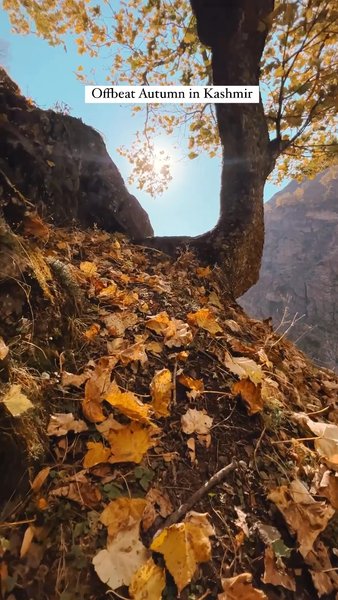 Photo of Offbeat Autumn in ka