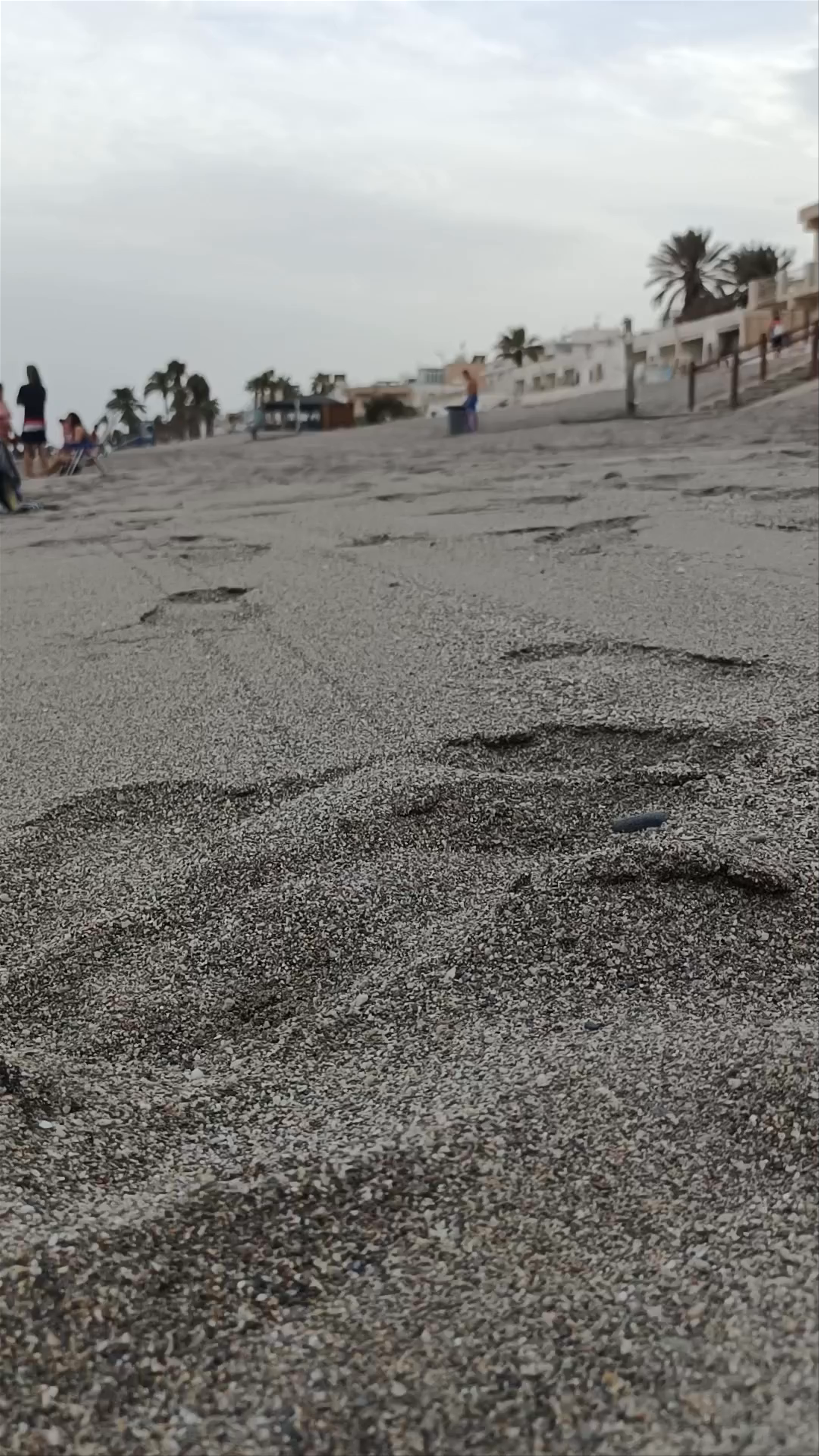 Playa de los Barquicos O de los Cocones