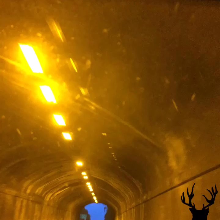 Video thumbnail 2 more videos