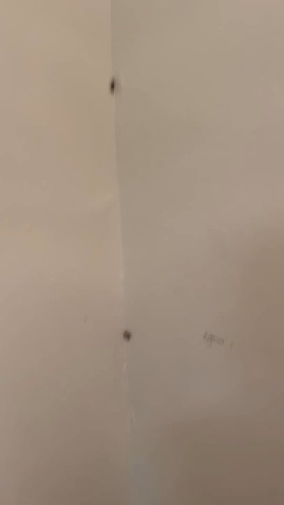 Olive Tree Apartments - a roach family living rent free. - Apartments Near Me - Glendale, Arizona