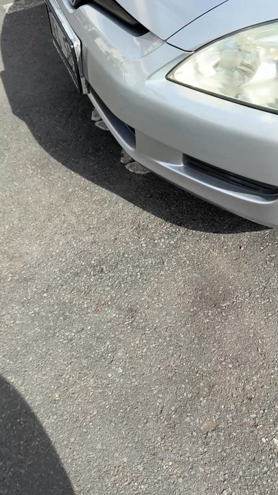Encore Collision - Body Shops Near Me - Honolulu, Hawaii