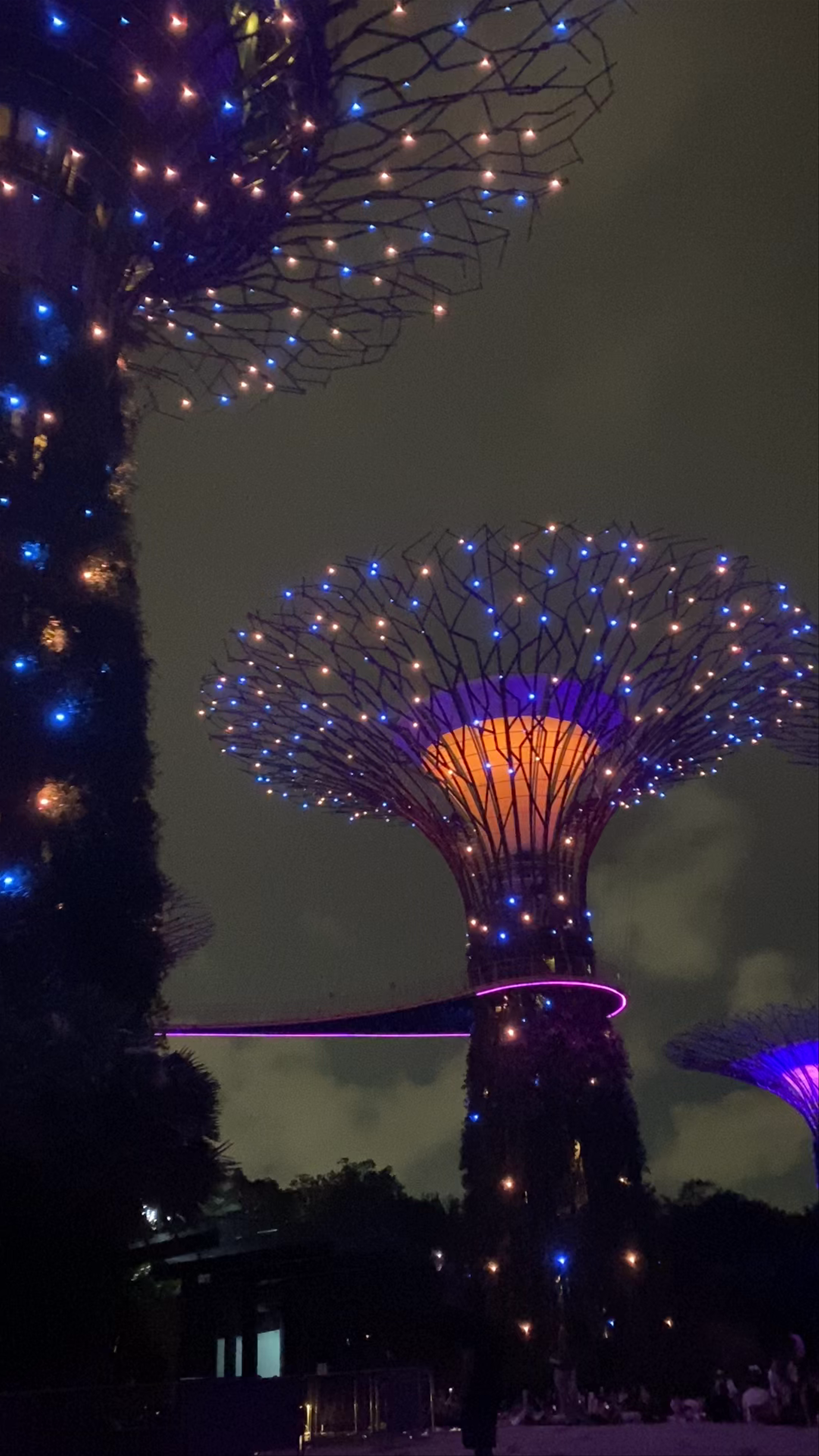 Marina Gardens Drive