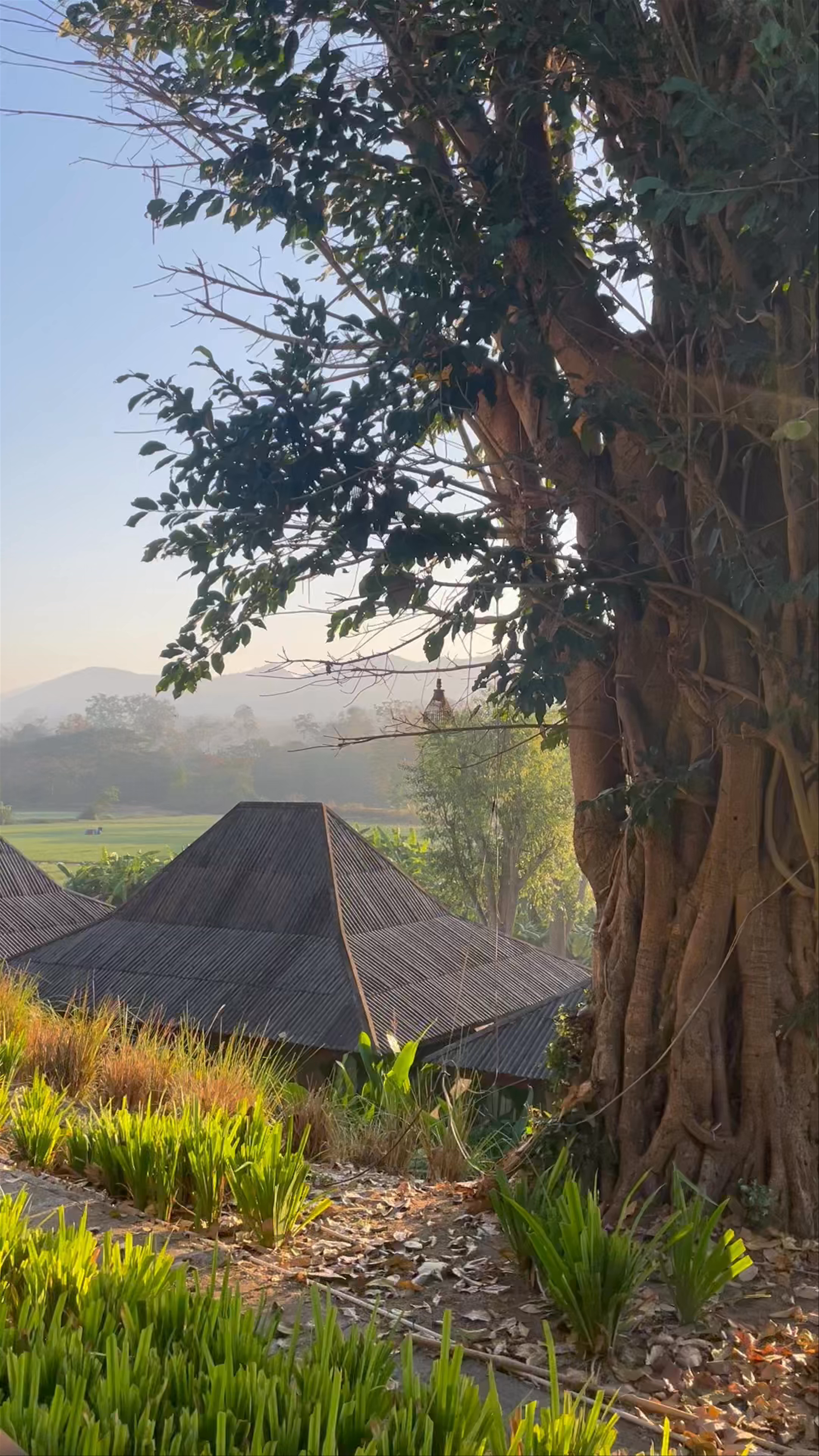 Tranquil Morning at Yoma Hotel, Pai