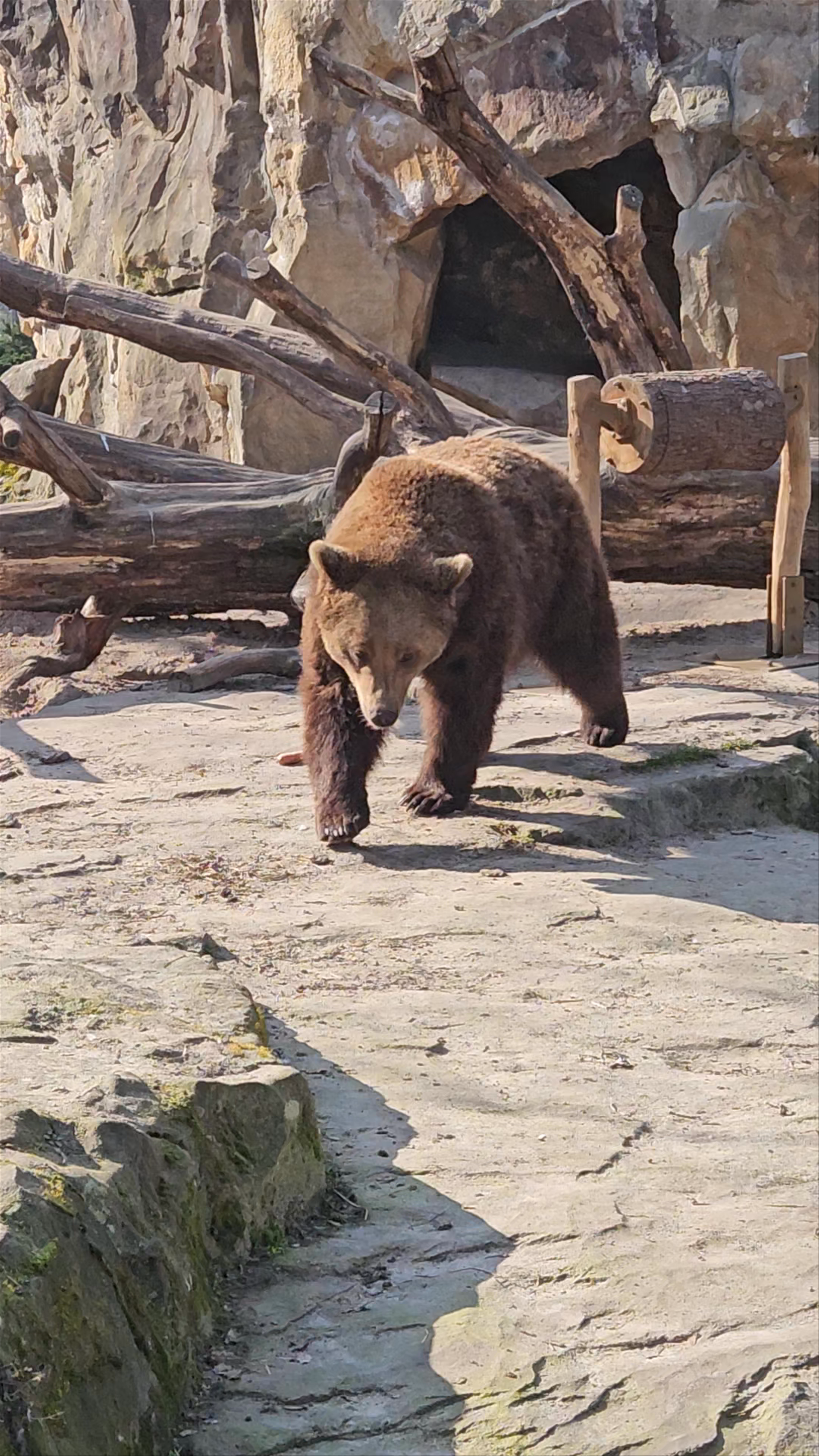 Berlin Zoological Garden