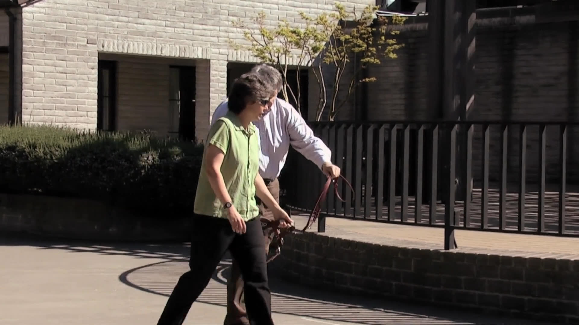 A man interacts affectionately with a yellow Labrador retriever before walking with a woman on a leash in an outdoor setting.