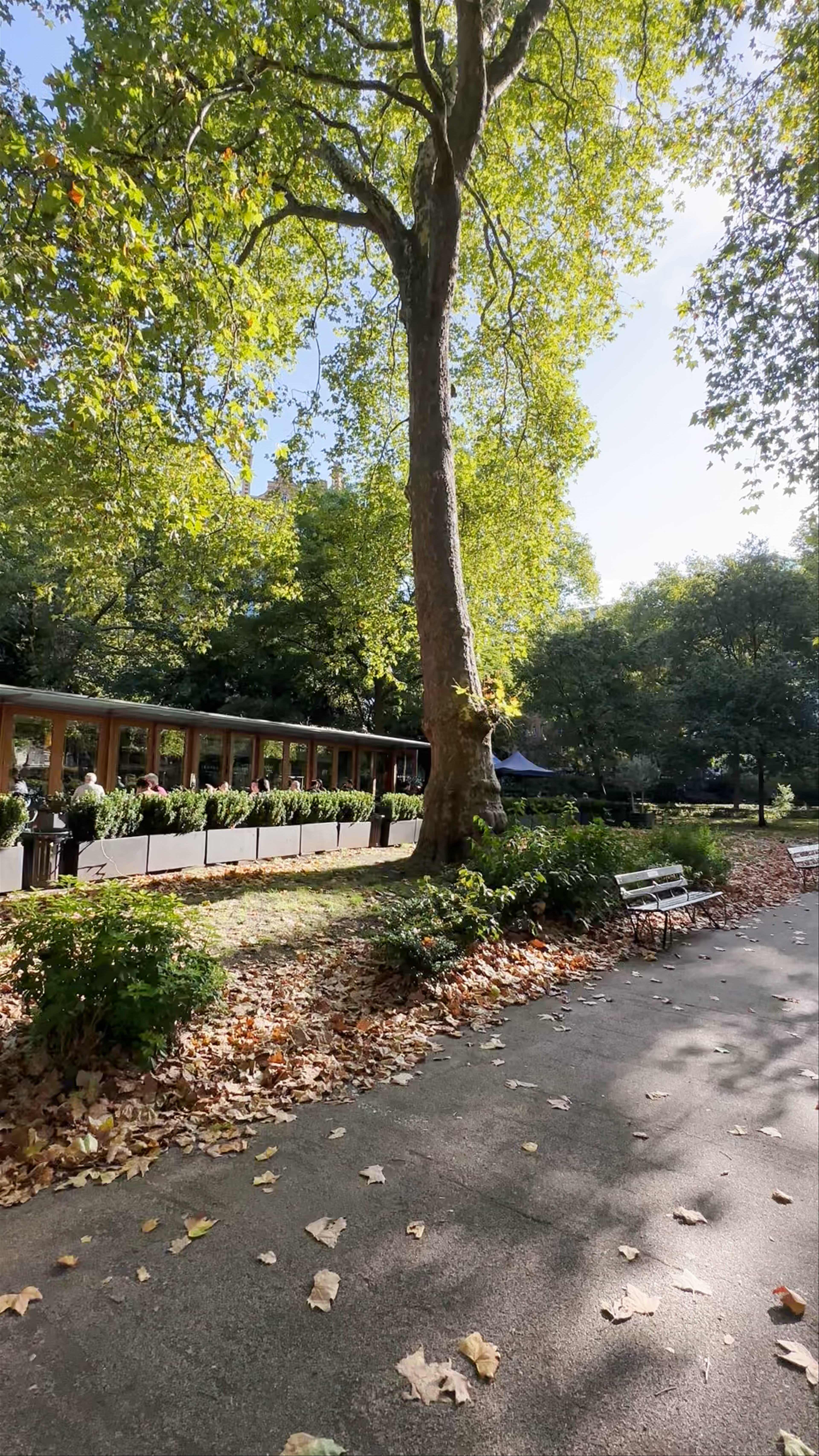 Serene Autumn Walk Through London’s Russell Square
