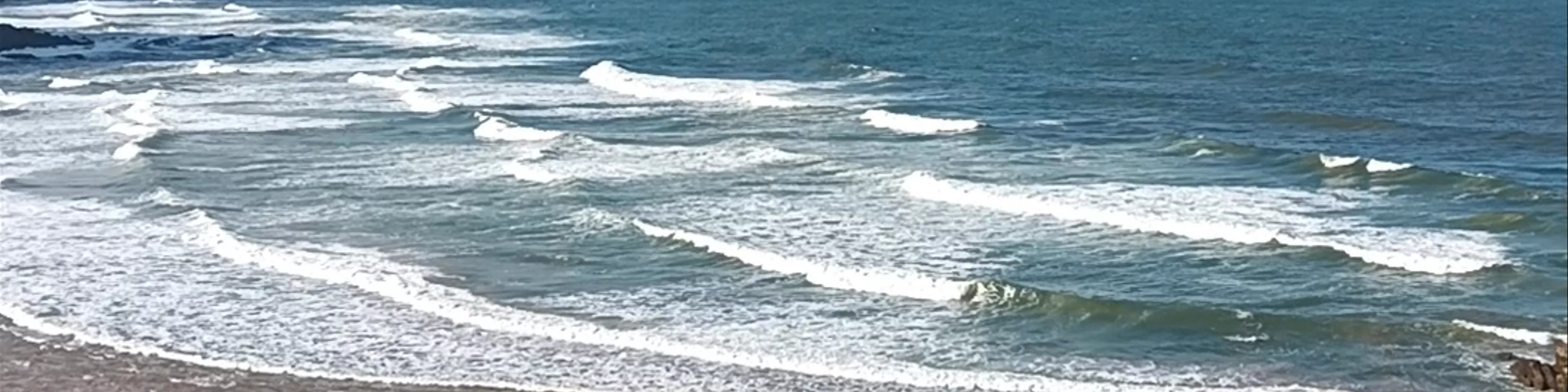 Playa de los Locos