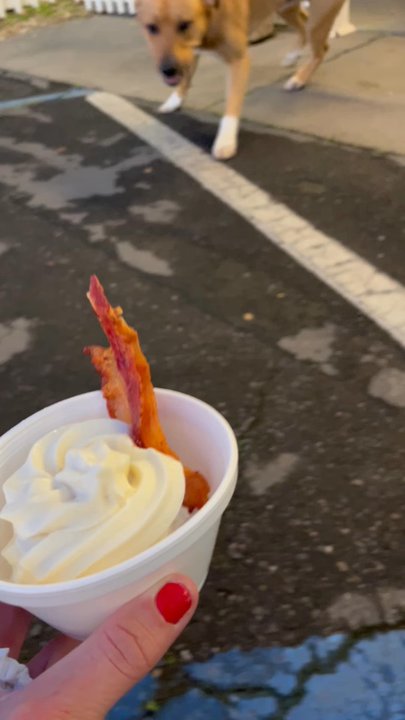 Hula's - The pup cups loved!! - American Near Me - Escalon, California