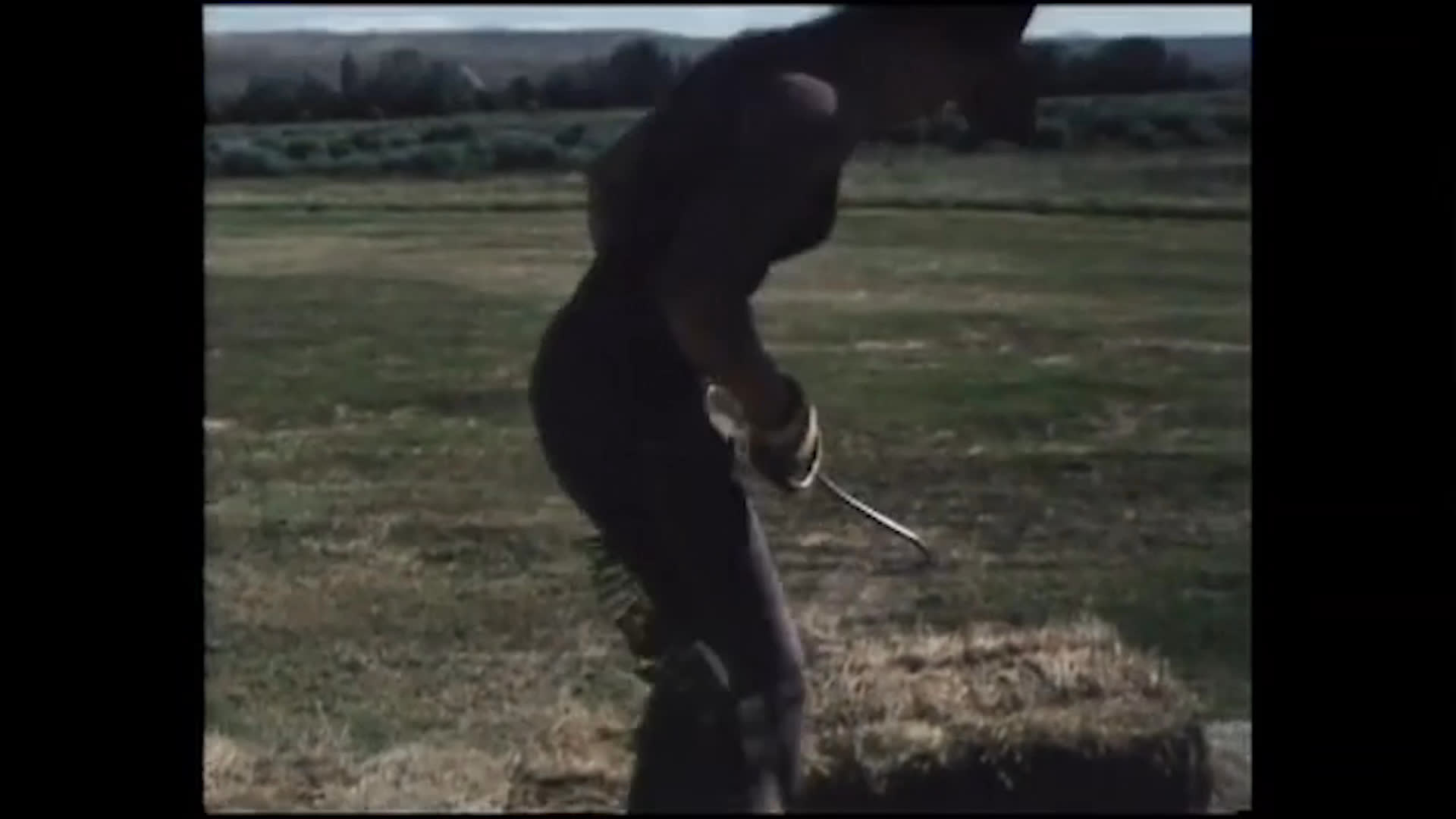 A woman works in an open rural field, gathering and moving hay with hand tools as farm vehicles and hay-loaded equipment stand nearby. She describes the physical demands of outdoor work and the challenge of continuing day after day.