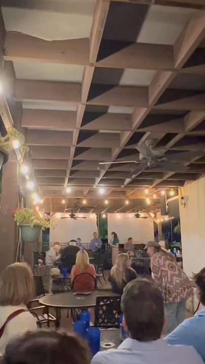 Rendezvous - Dr - Cocktail Bars Near Me - O'fallon, Missouri