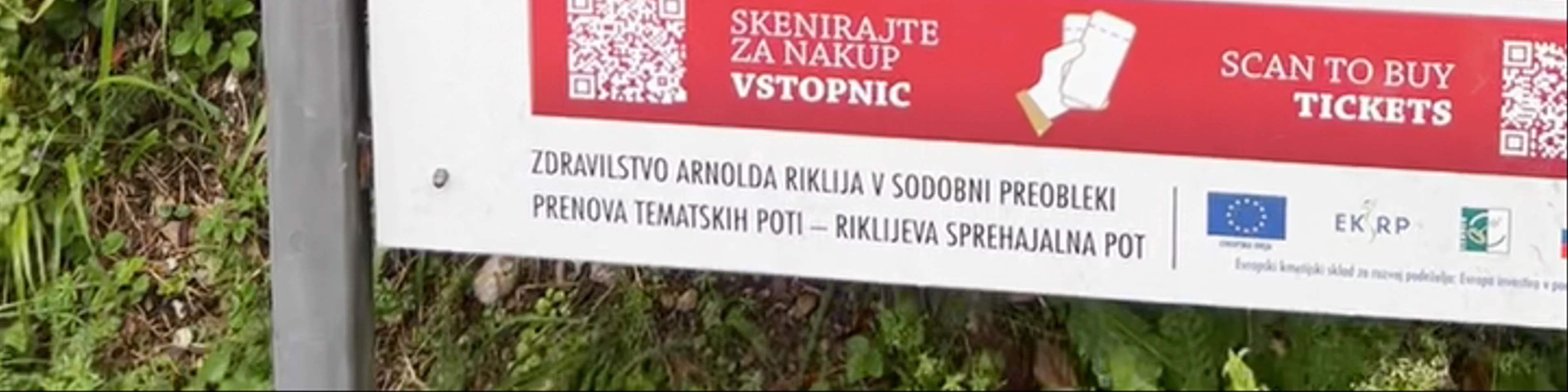 Blejski grad