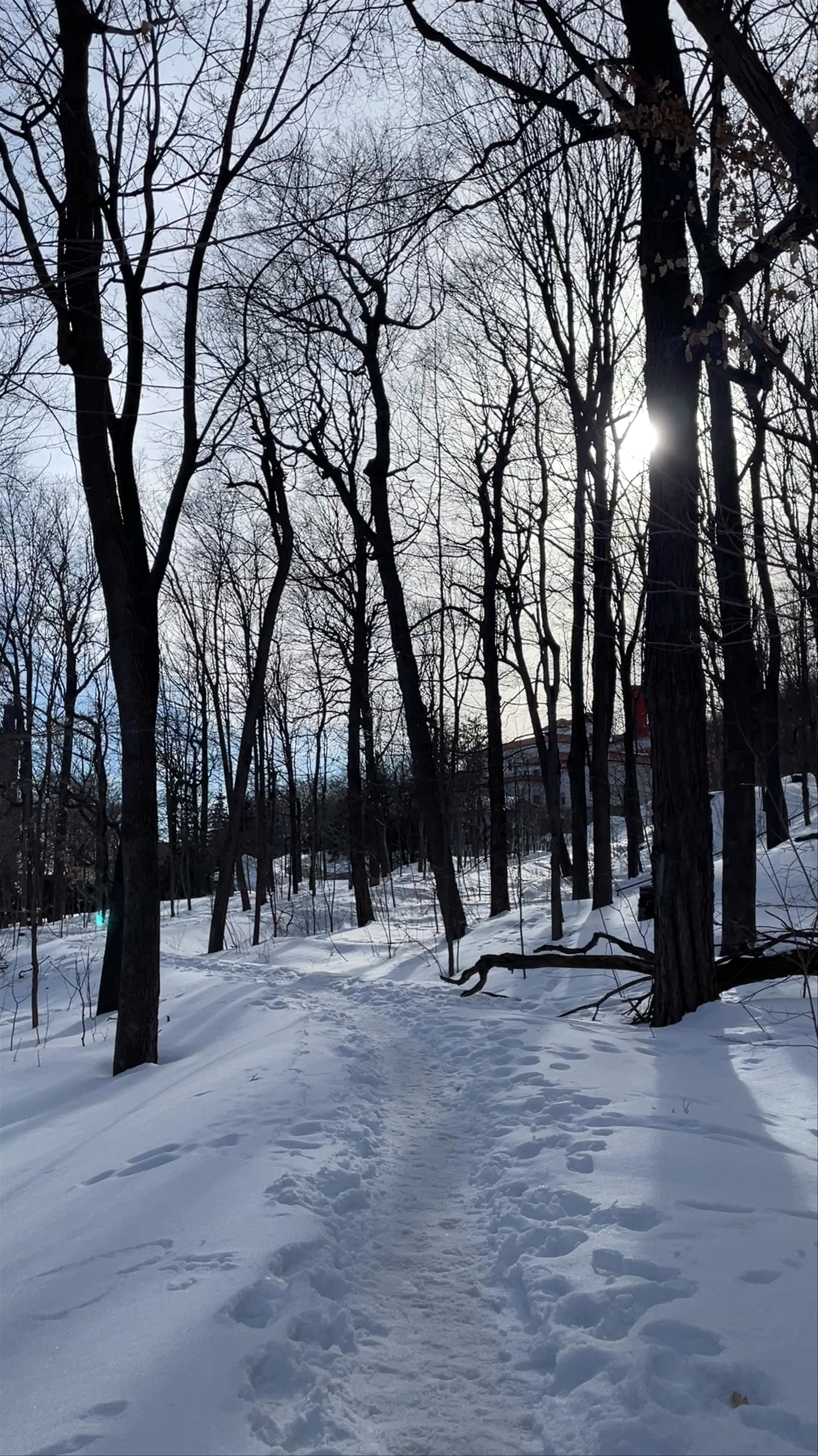 Winter Trail Walk at Grand Staircase of Mount Royal, Montreal