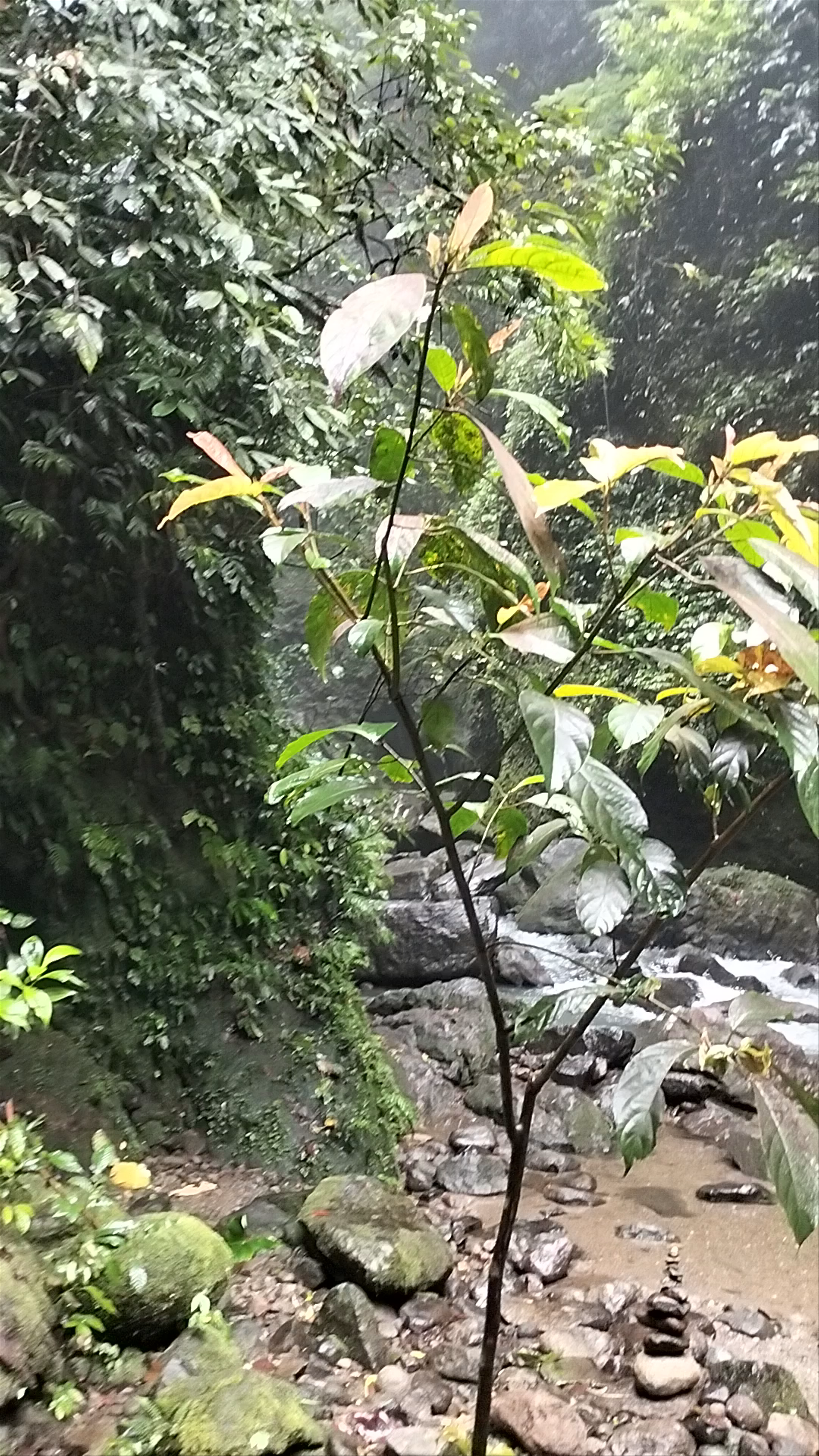 Casaroro Falls