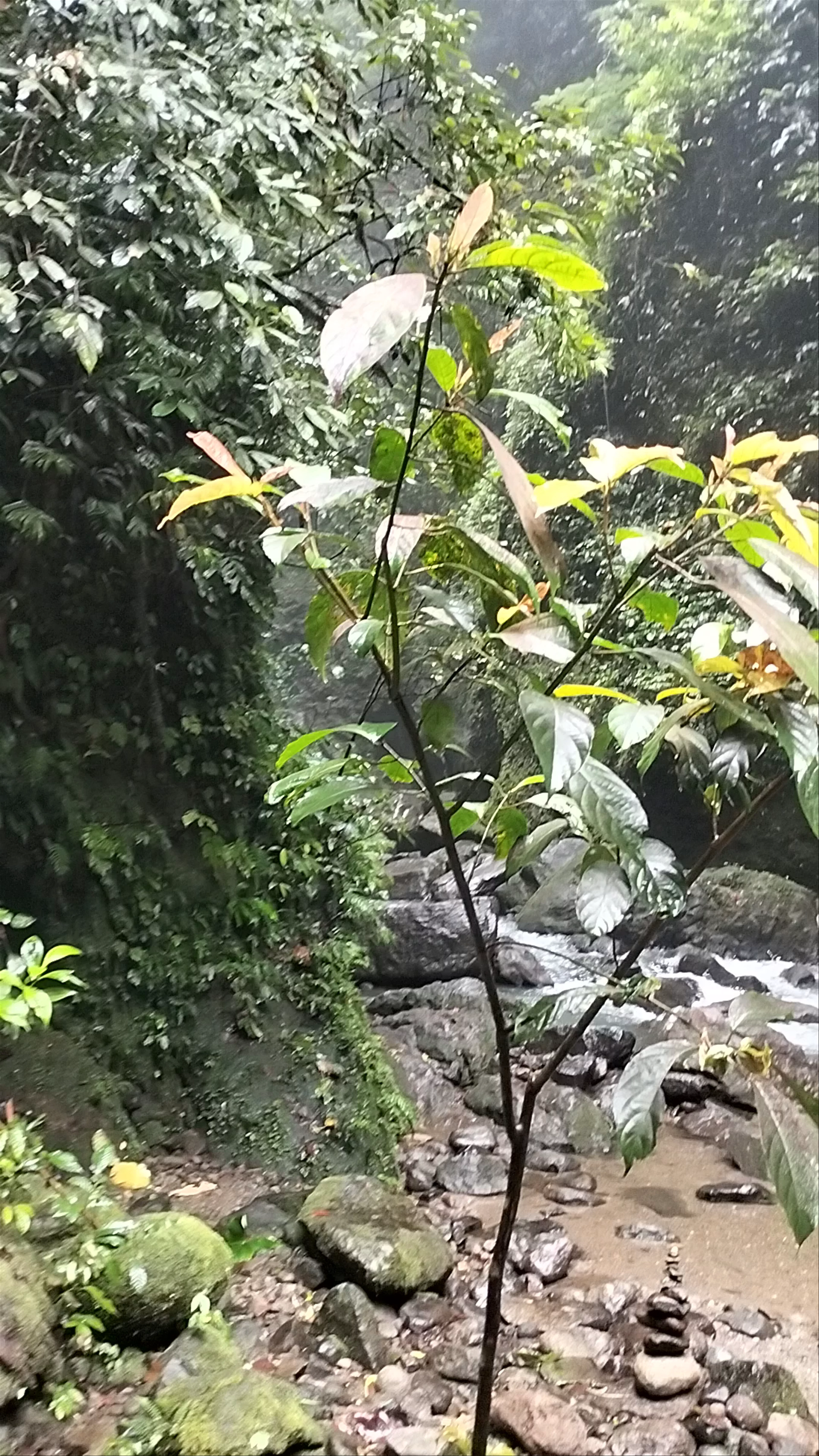 Casaroro Falls