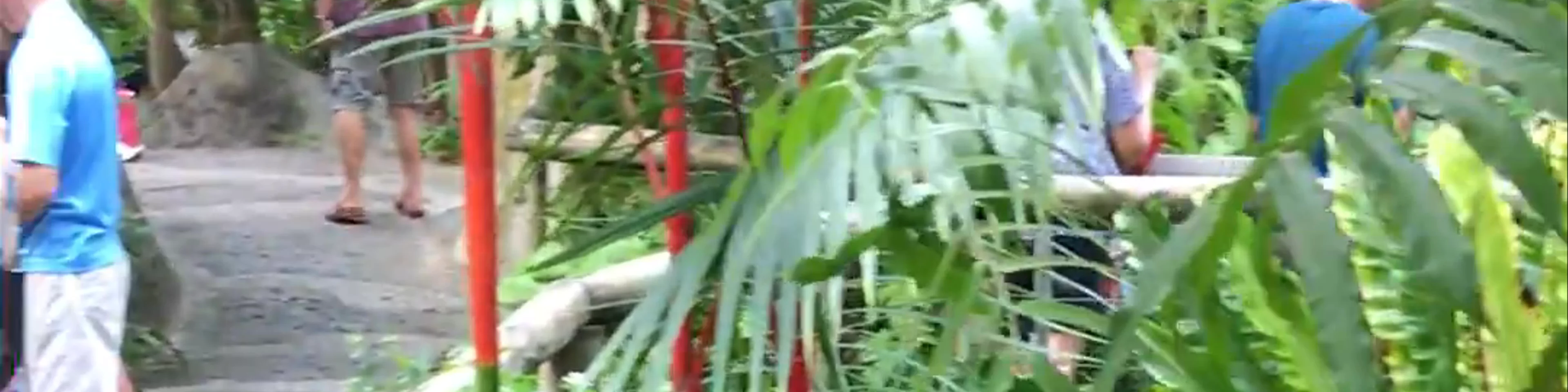 Australian Butterfly Sanctuary