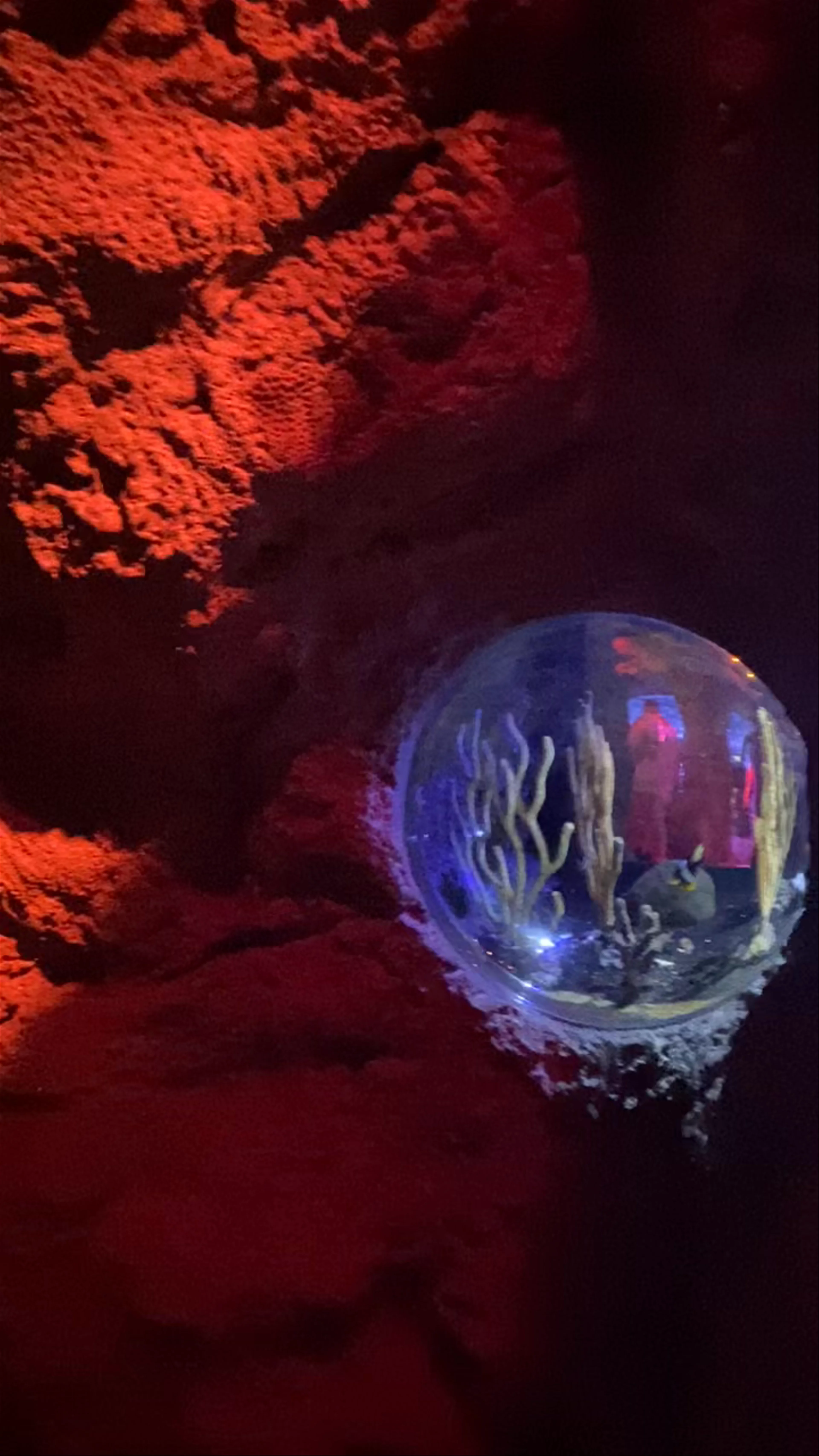 SEA LIFE Orlando Aquarium