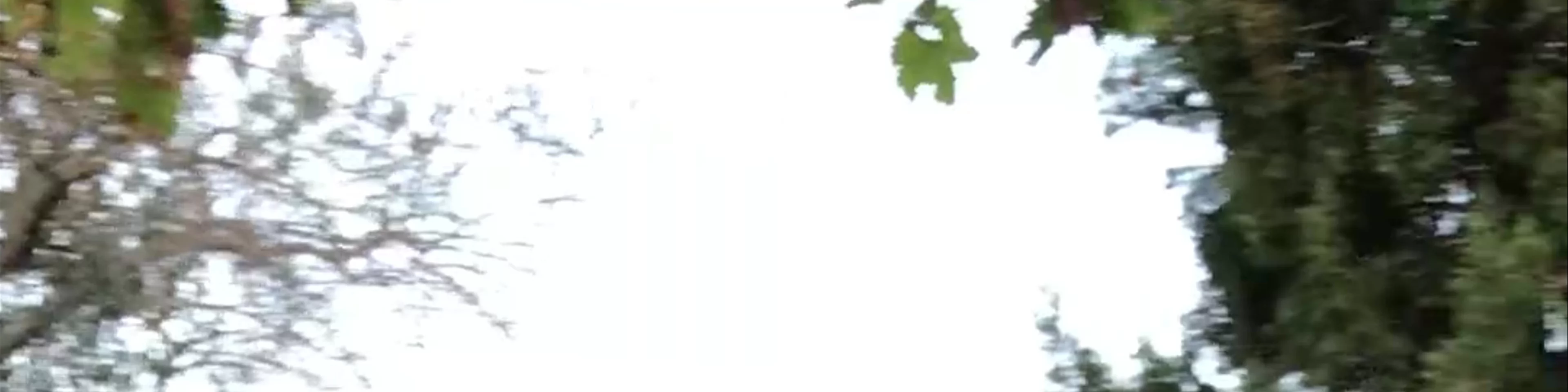 Agroturismo ATZARO ibiza