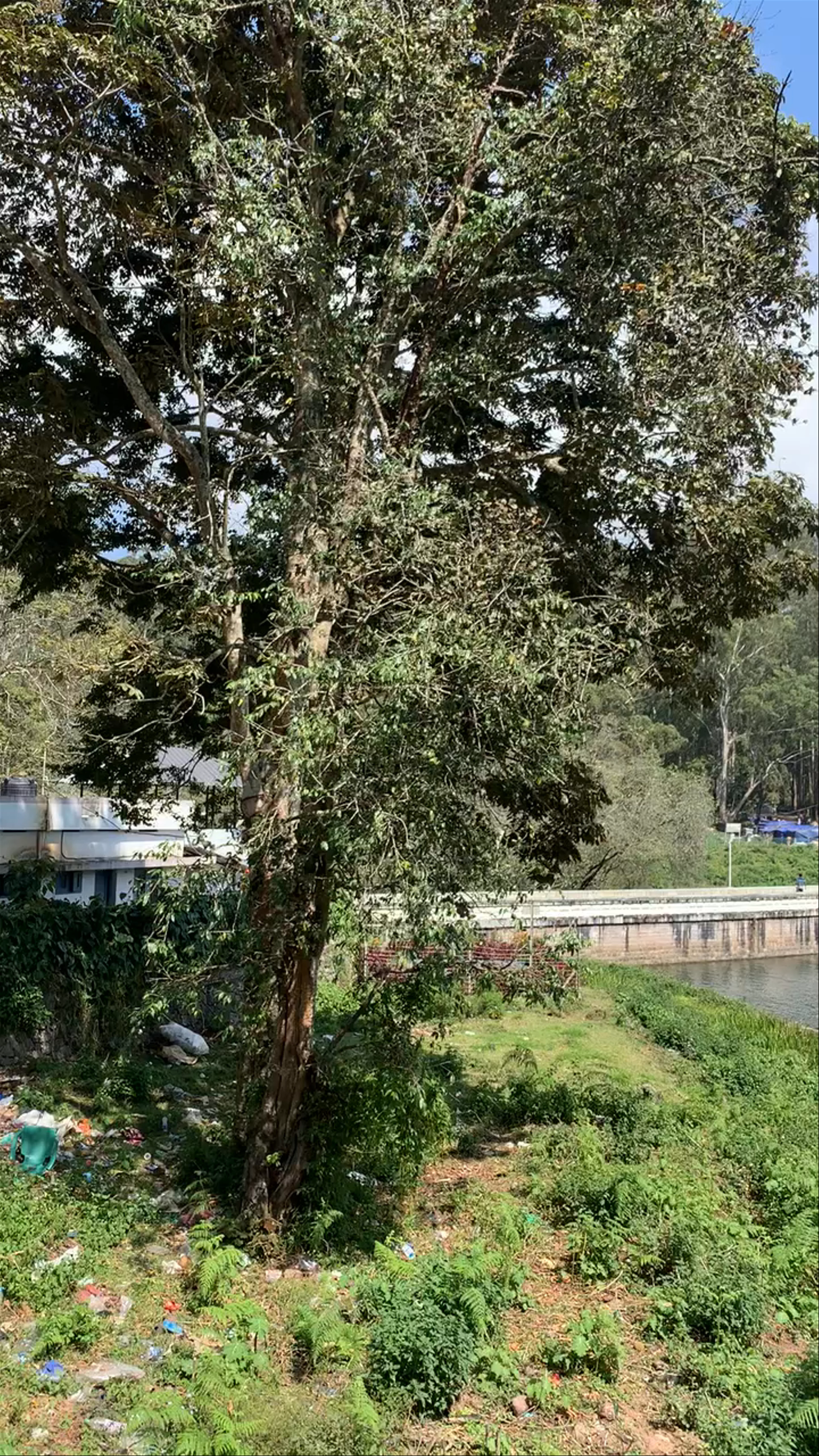 Kundala Dam