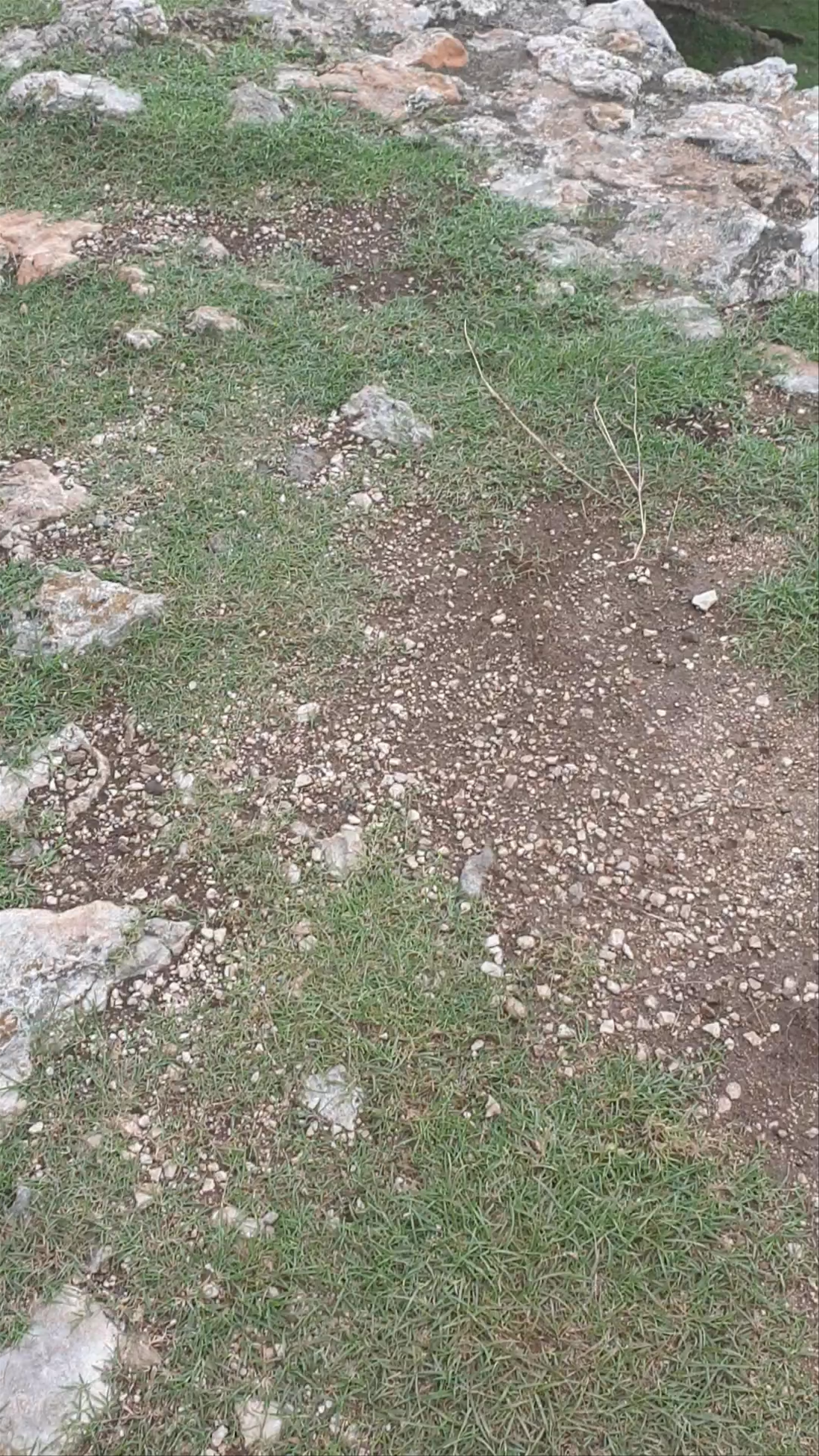 Zona Arqueológica de Uxmal