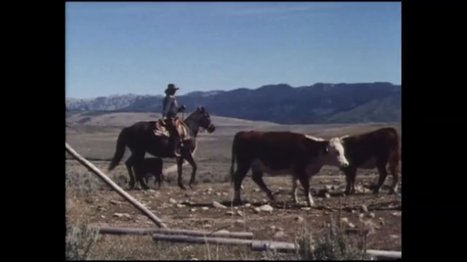 Melody Harding rides horseback among cattle across an open ranch landscape. Nearby, two women talk beside a corral as narration recounts her leaving college and dental-office work.