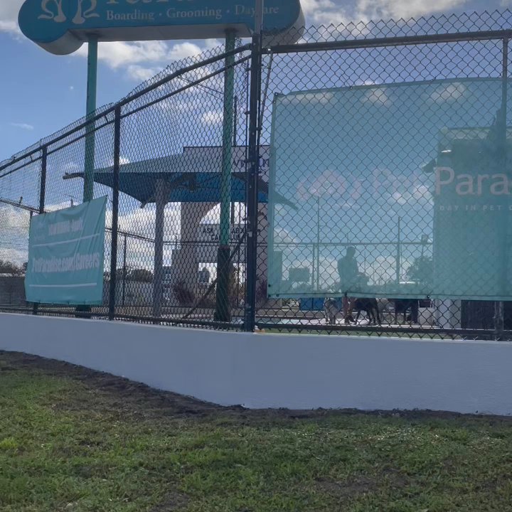 Pet Paradise Ormond Beach - Pool play time - Pet Groomers Near Me - Ormond Beach, Florida
