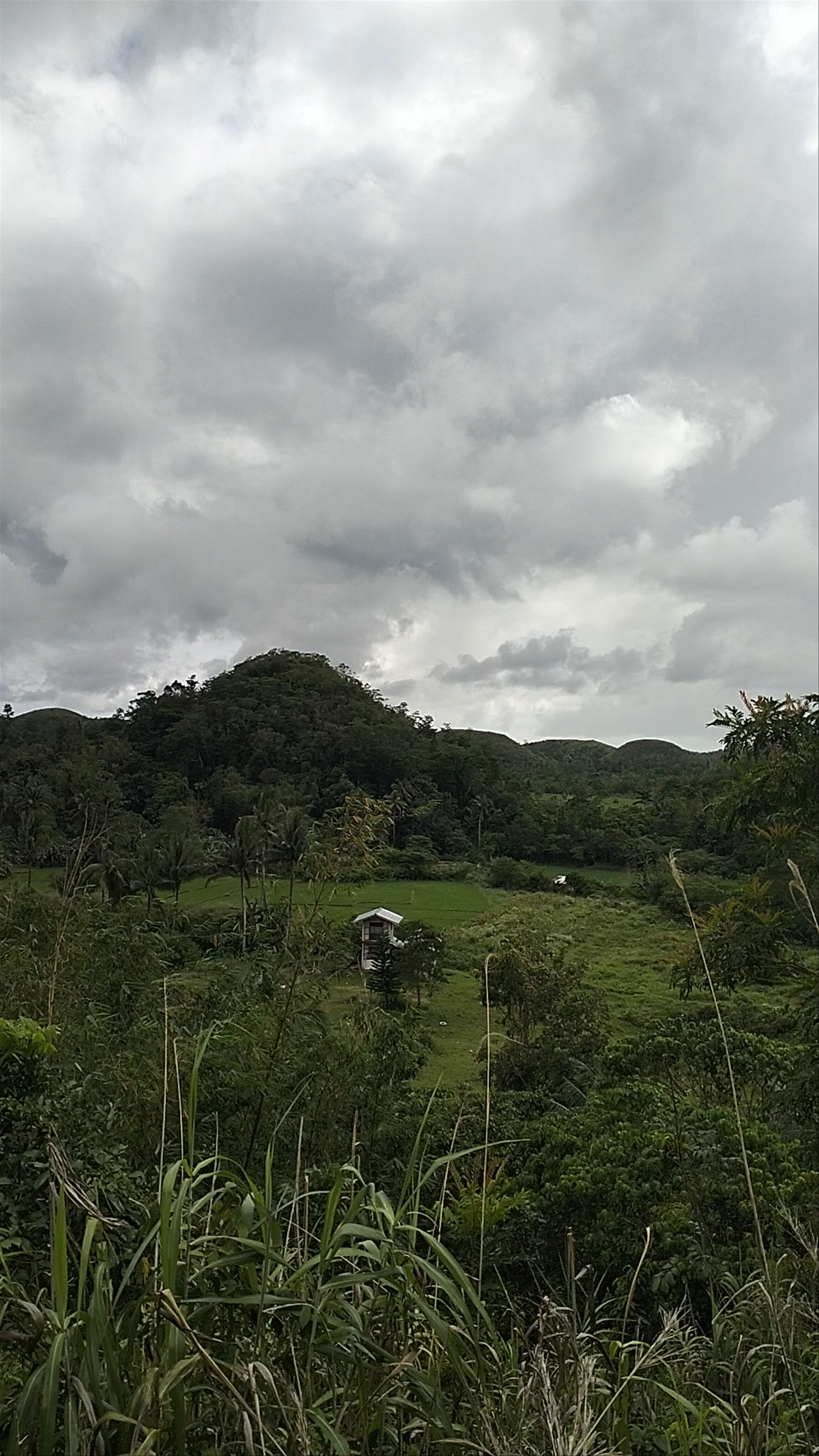Chocolate Hills Natural Monument