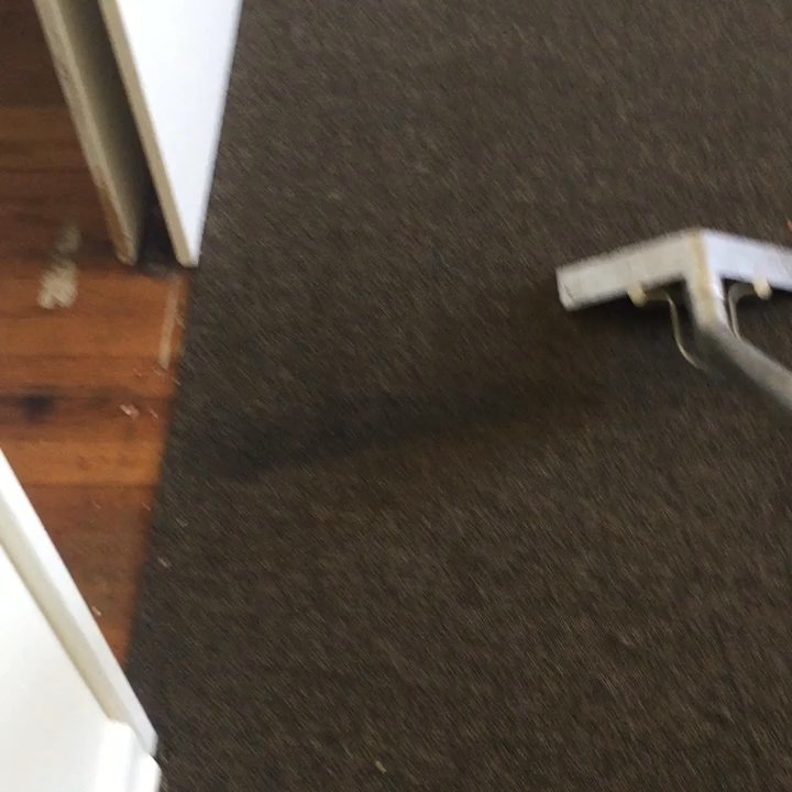 Extreme Clean Carpets - Steam is always the best way. - Carpet Installation Near Me