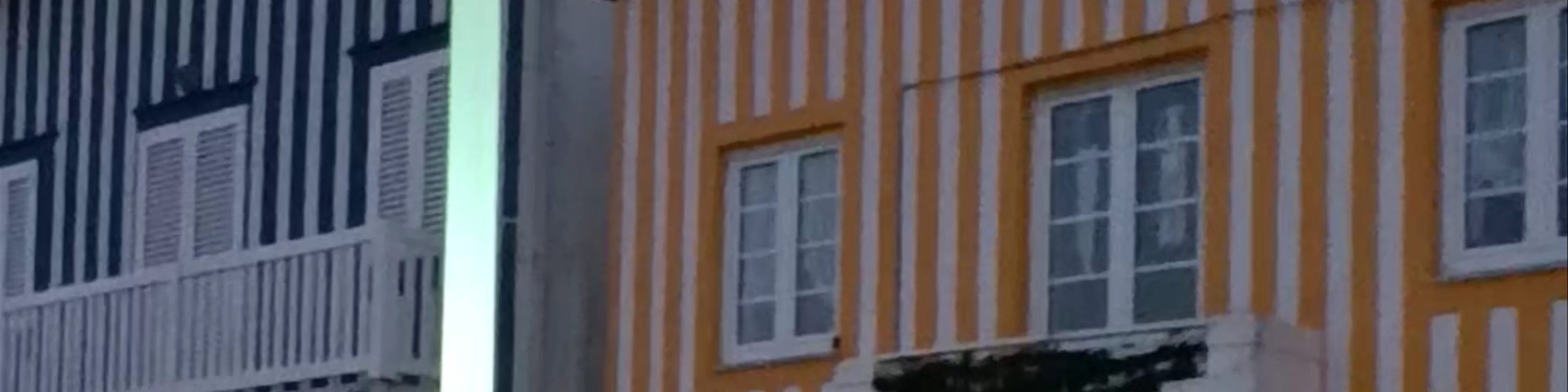 Casas Típicas da Costa Nova