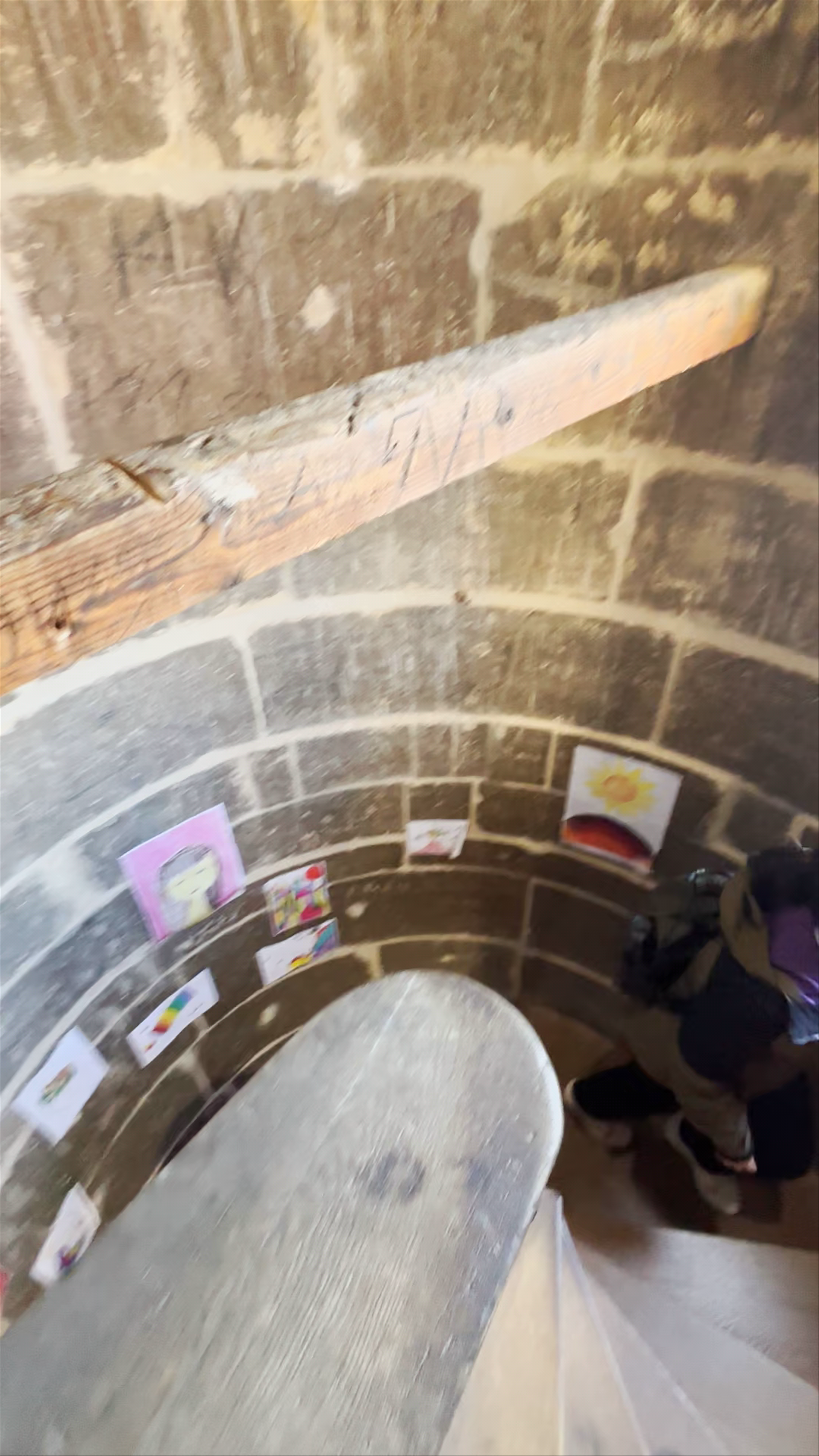 The Ferula Exhibition