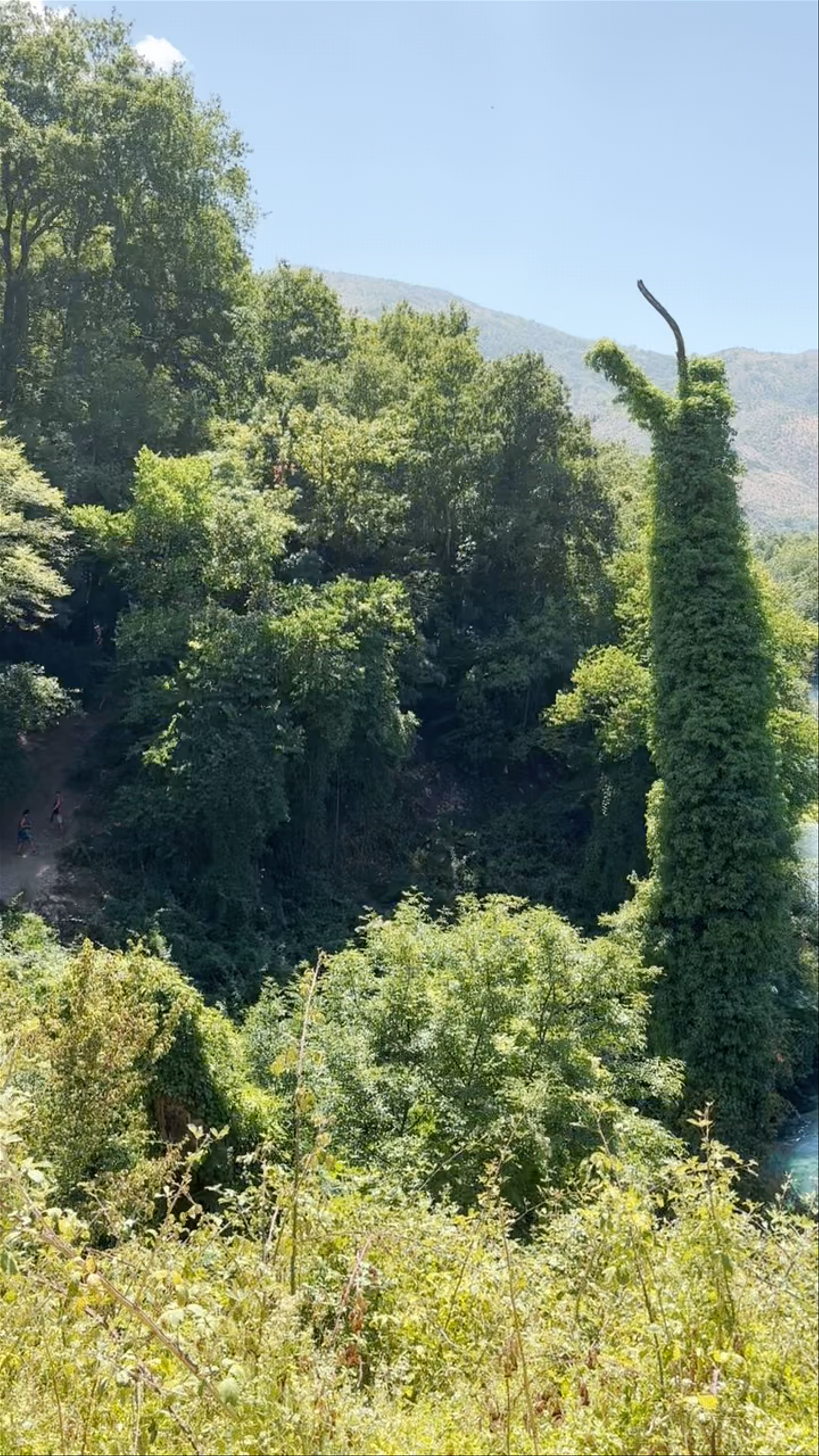 Blue beach panoramic view