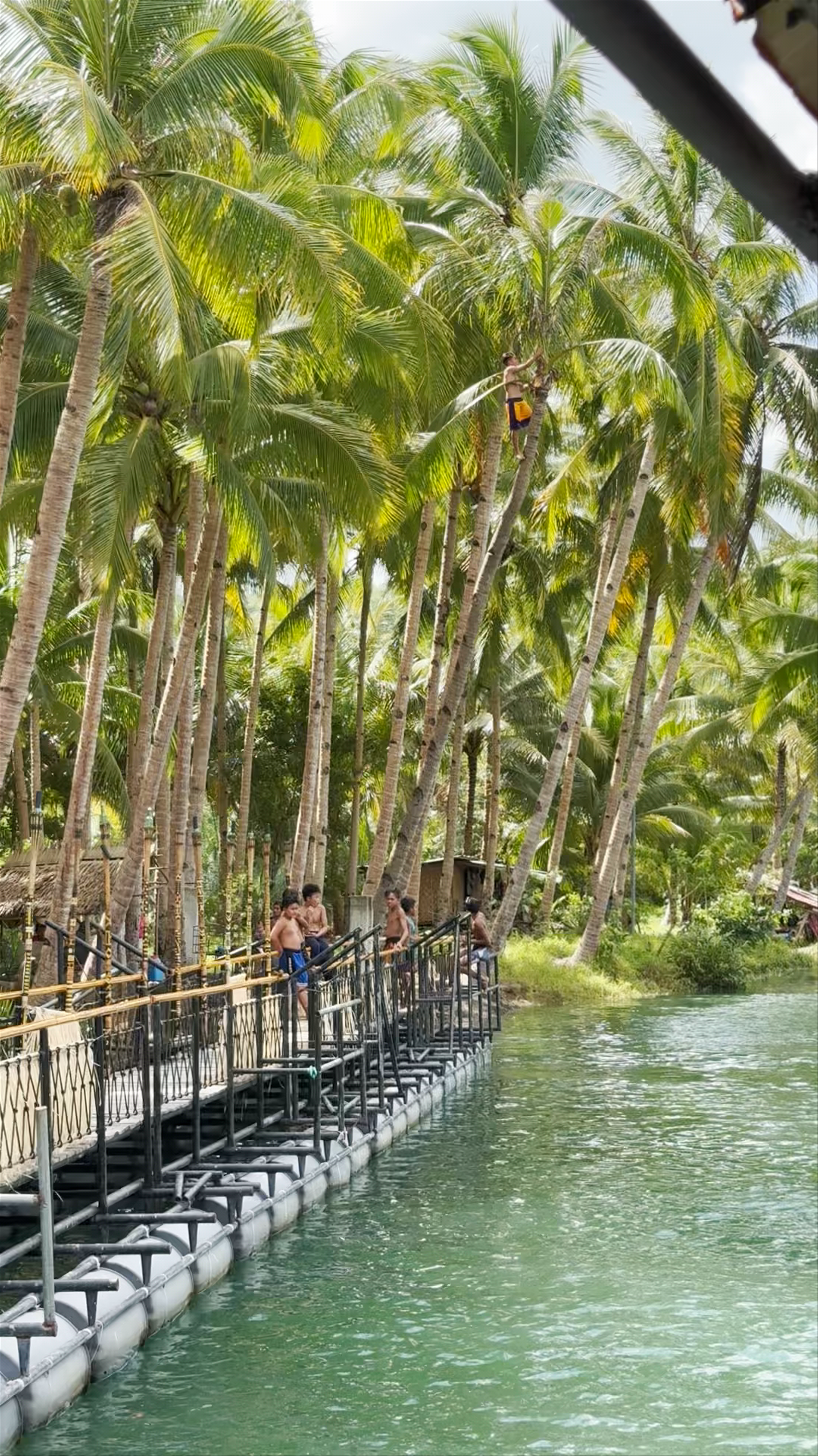 Loboc River Cruise