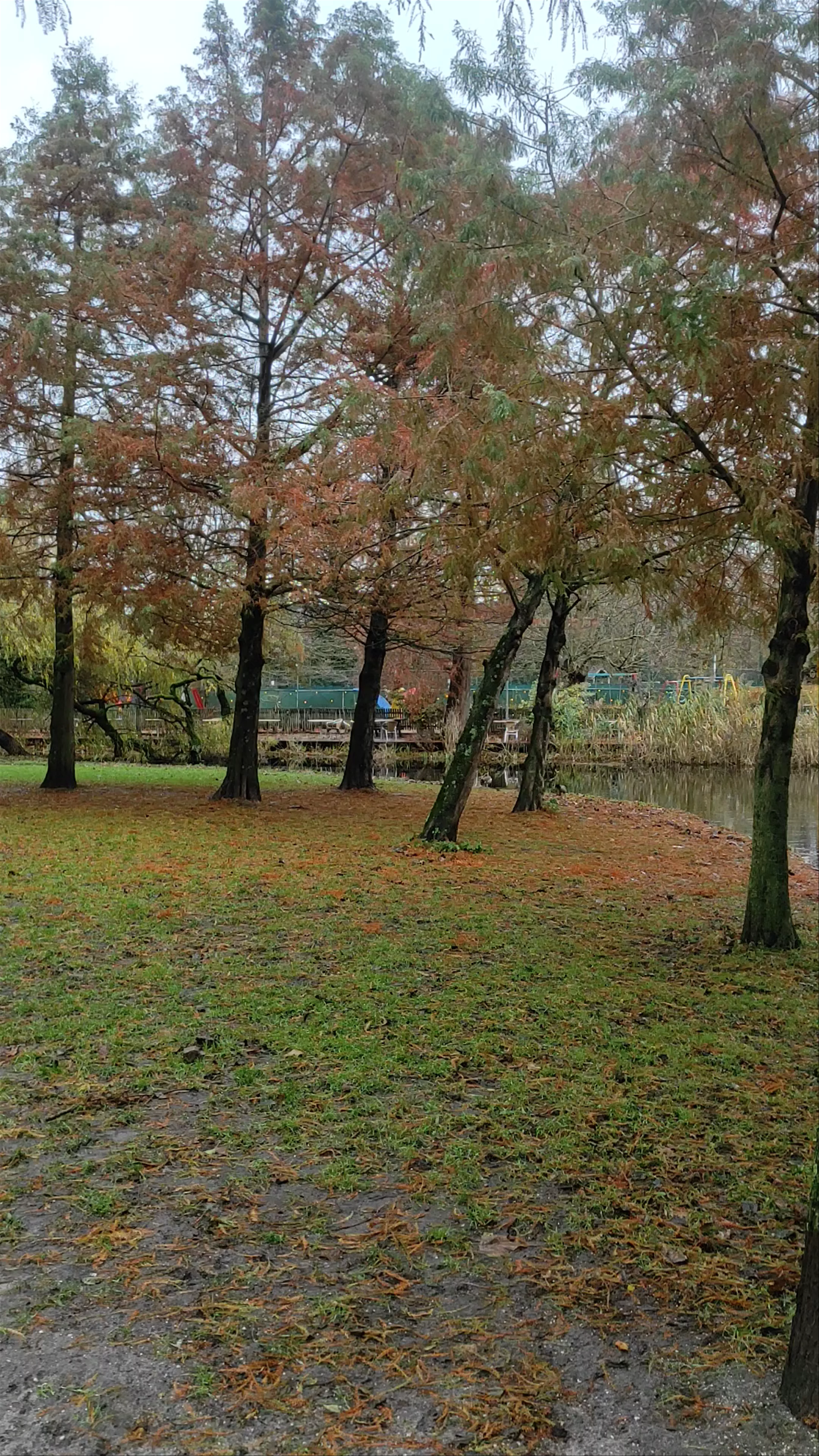 Vondelpark, Amsterdam, Netherlands