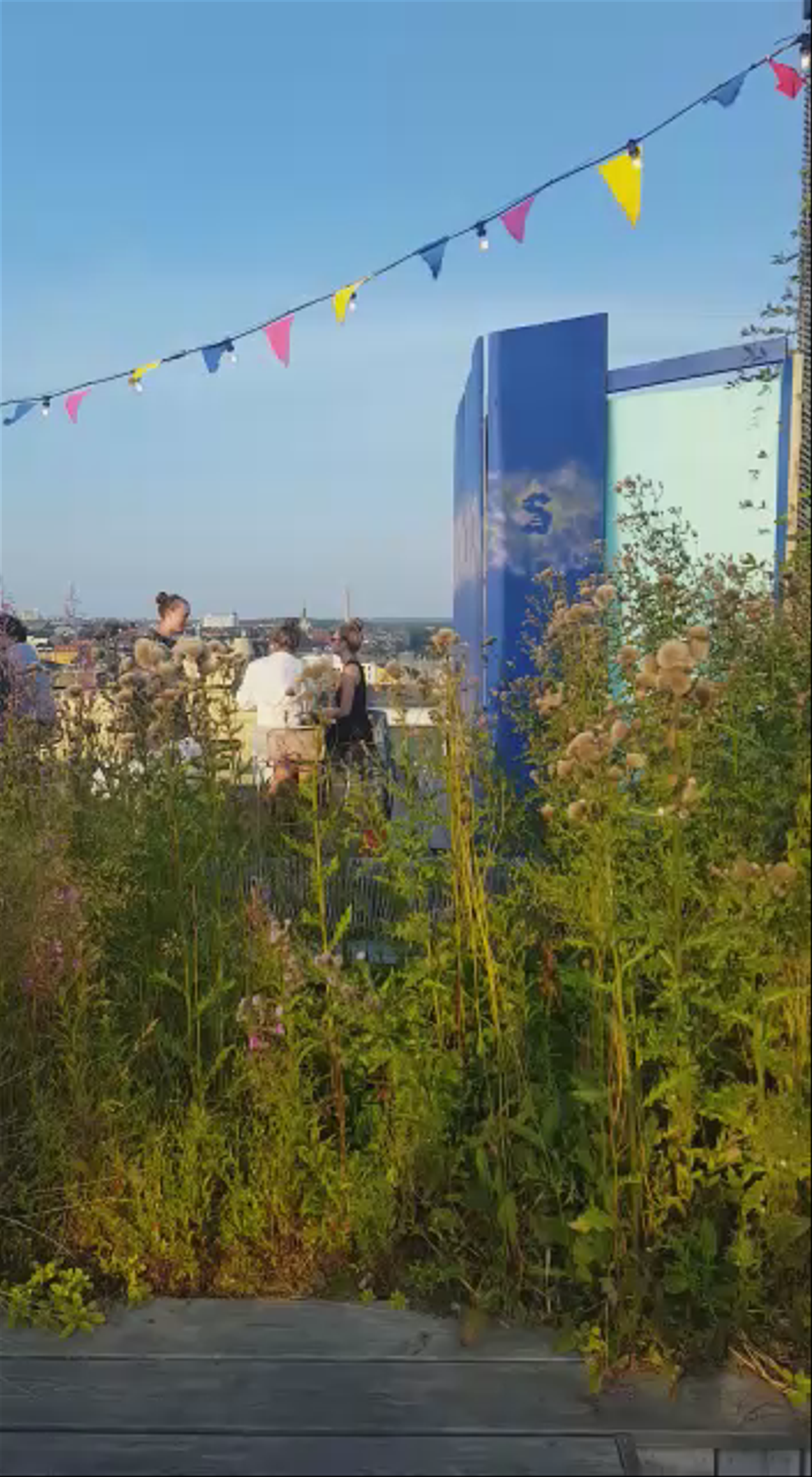 Stockholm Under Stjärnorna