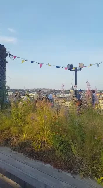 Stockholm Under Stjärnorna