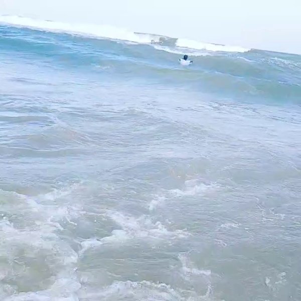 Photo of Marina beach 