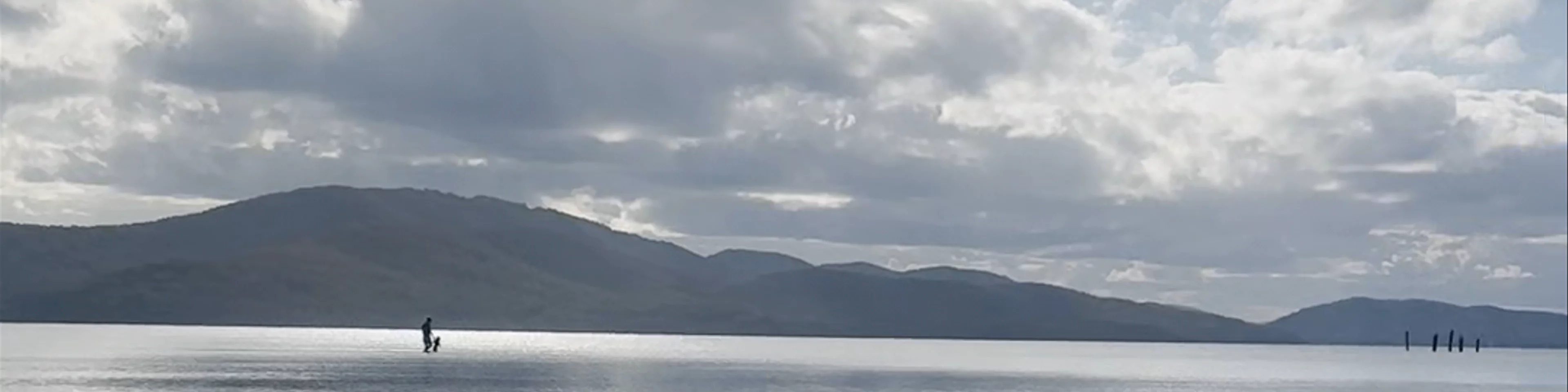 Wallis Lake