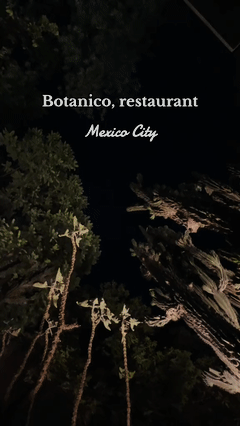 Botánico