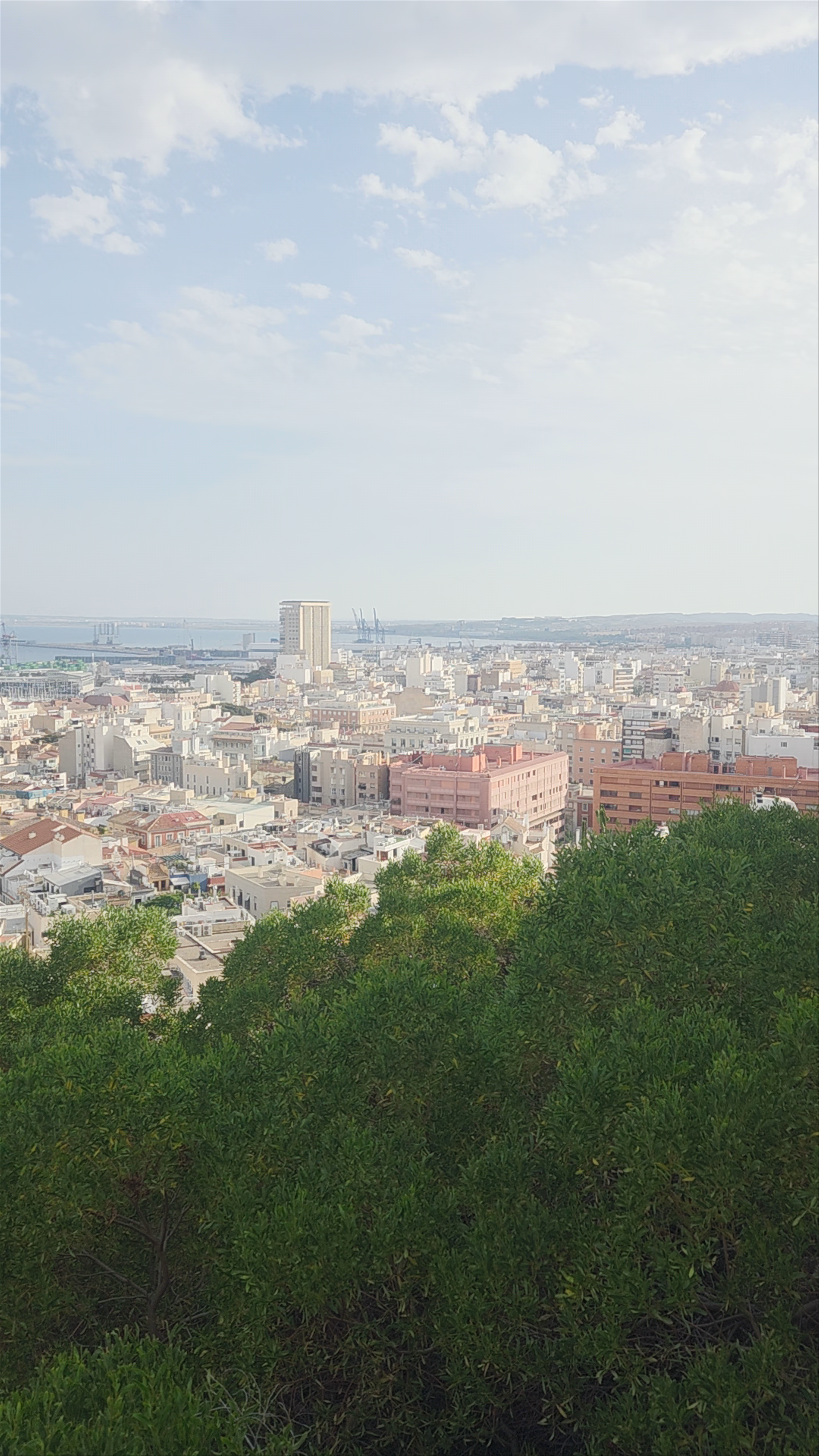 Mirador Alicante
