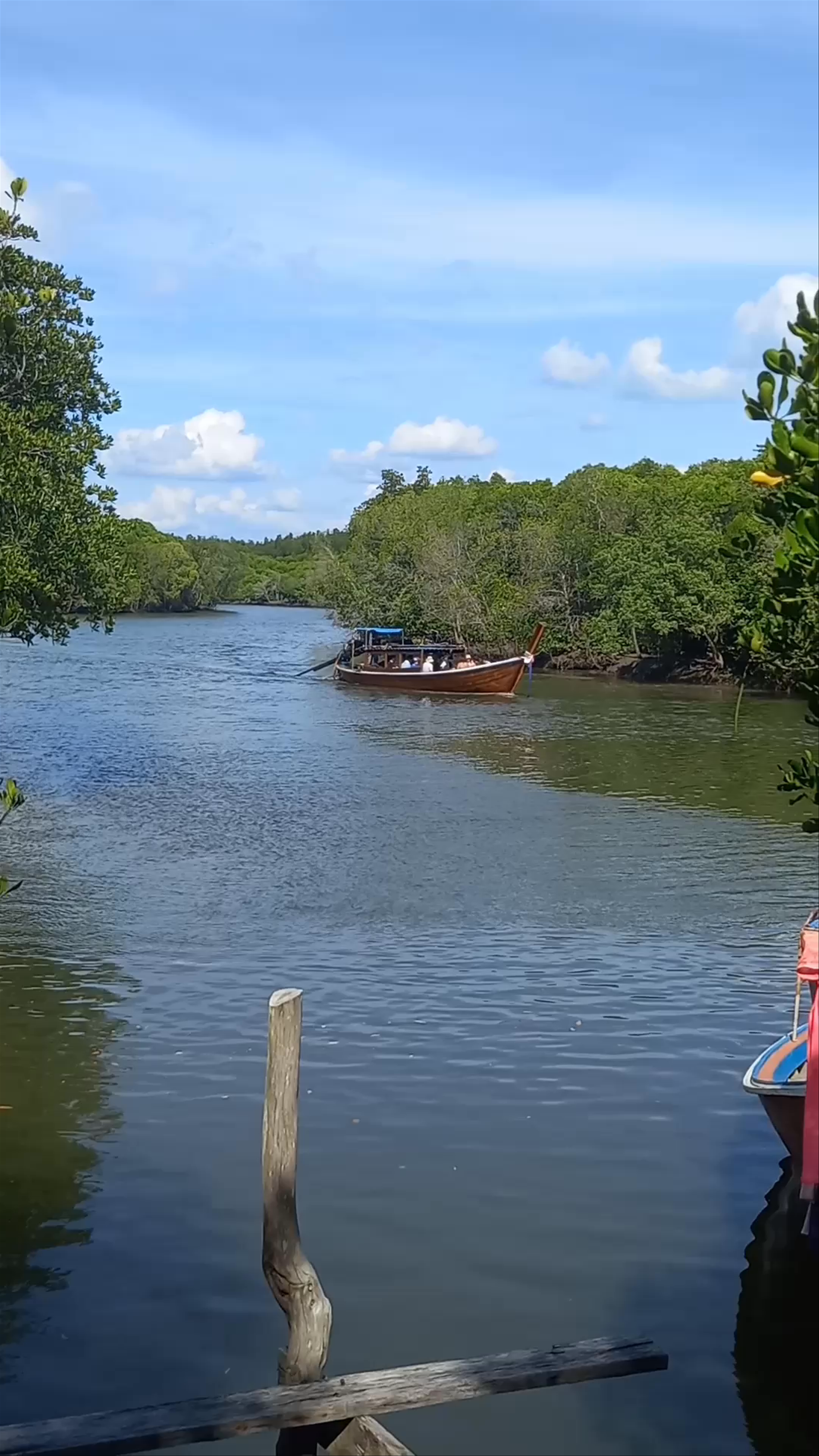 Tranquil Mangrove River Tour at Green Lanta Sala Dan, Ko Lanta District
