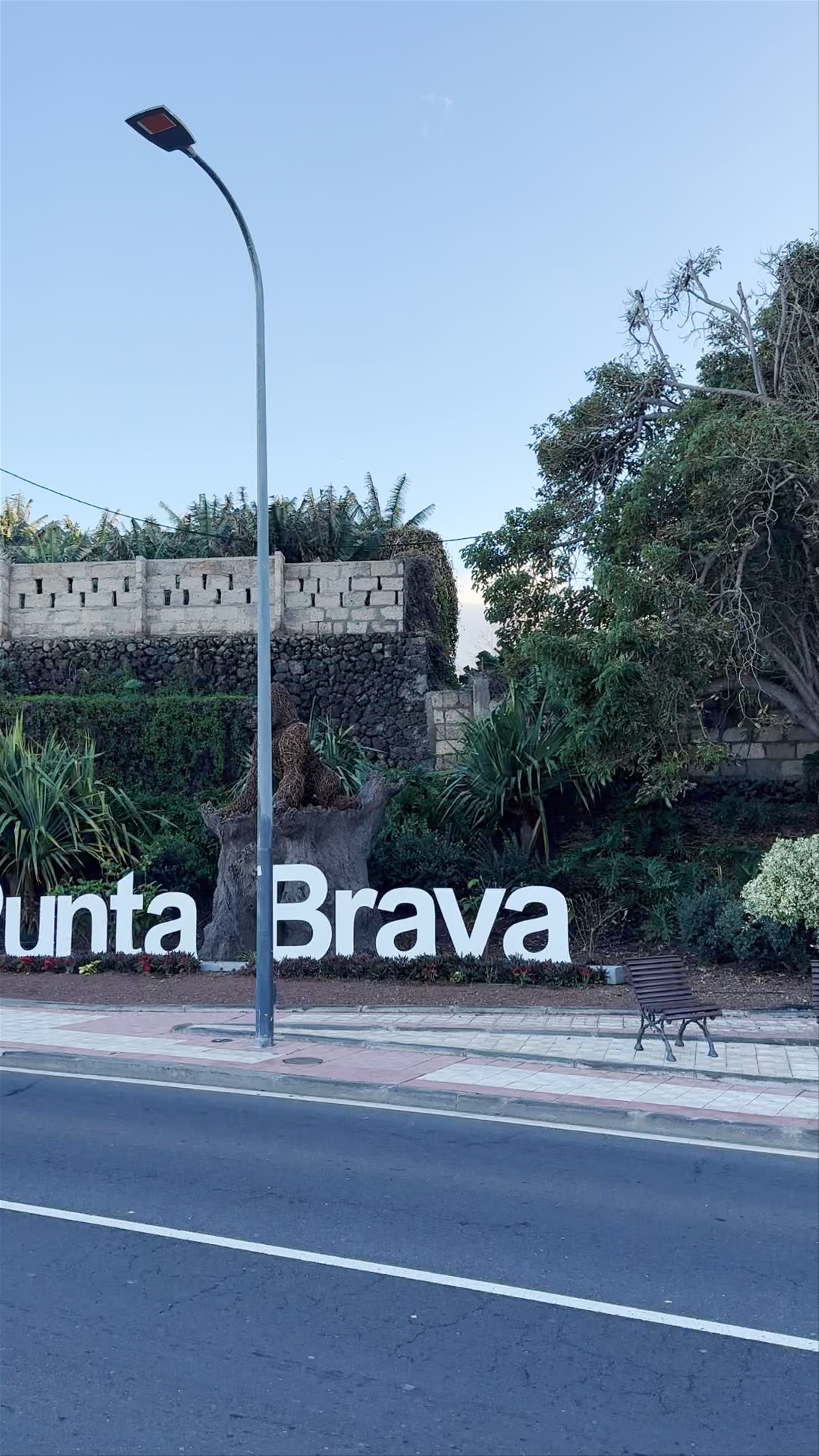 Cartel "Punta Brava"