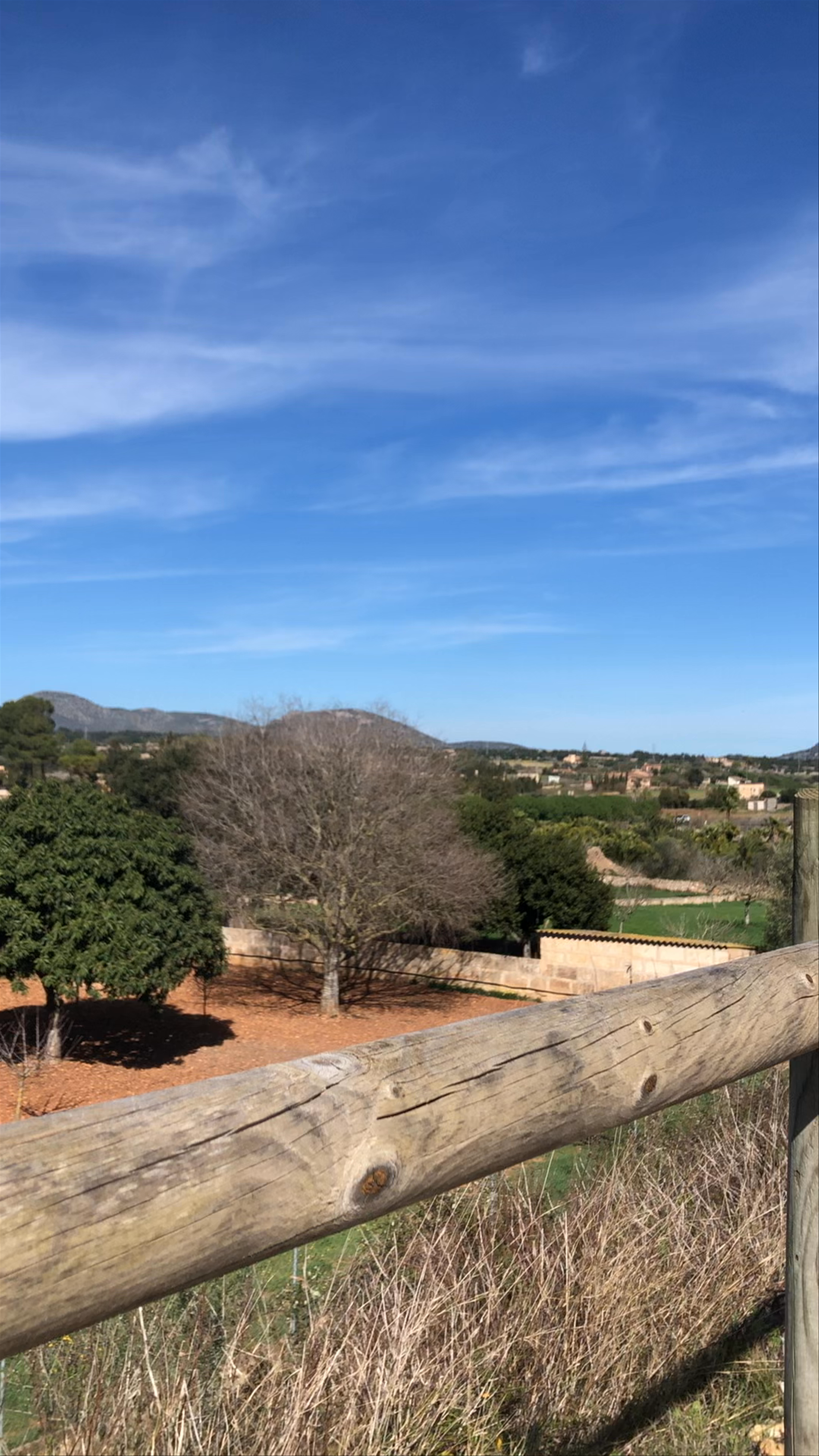 Via Verda Manacor-Artà: Serene Countryside Walk in Mallorca