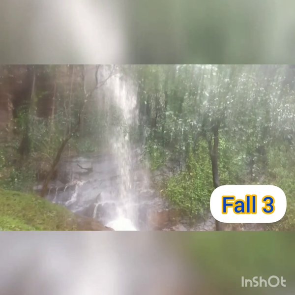 Photo of Water fall trip in C