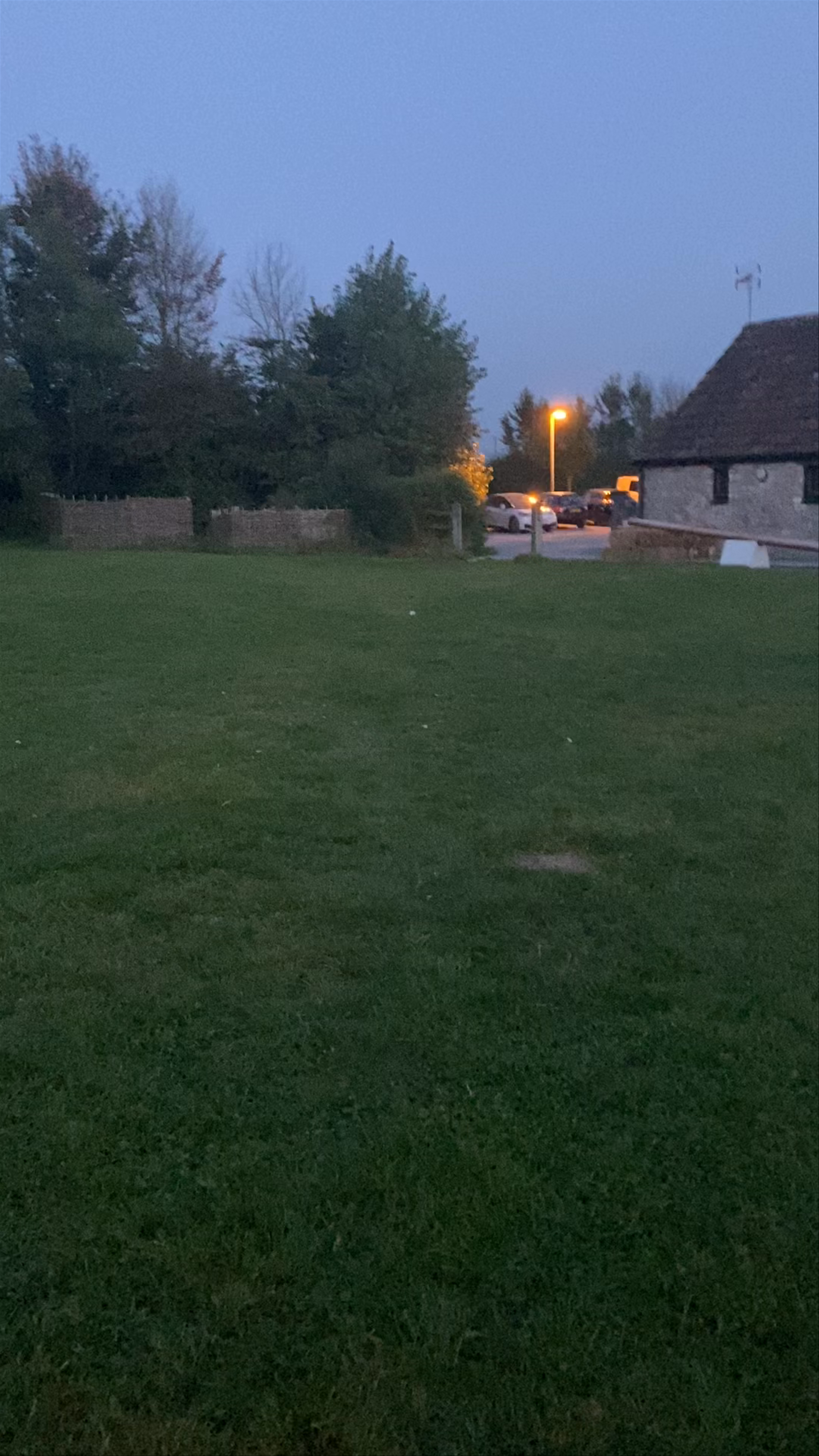 The Cider Orchard 