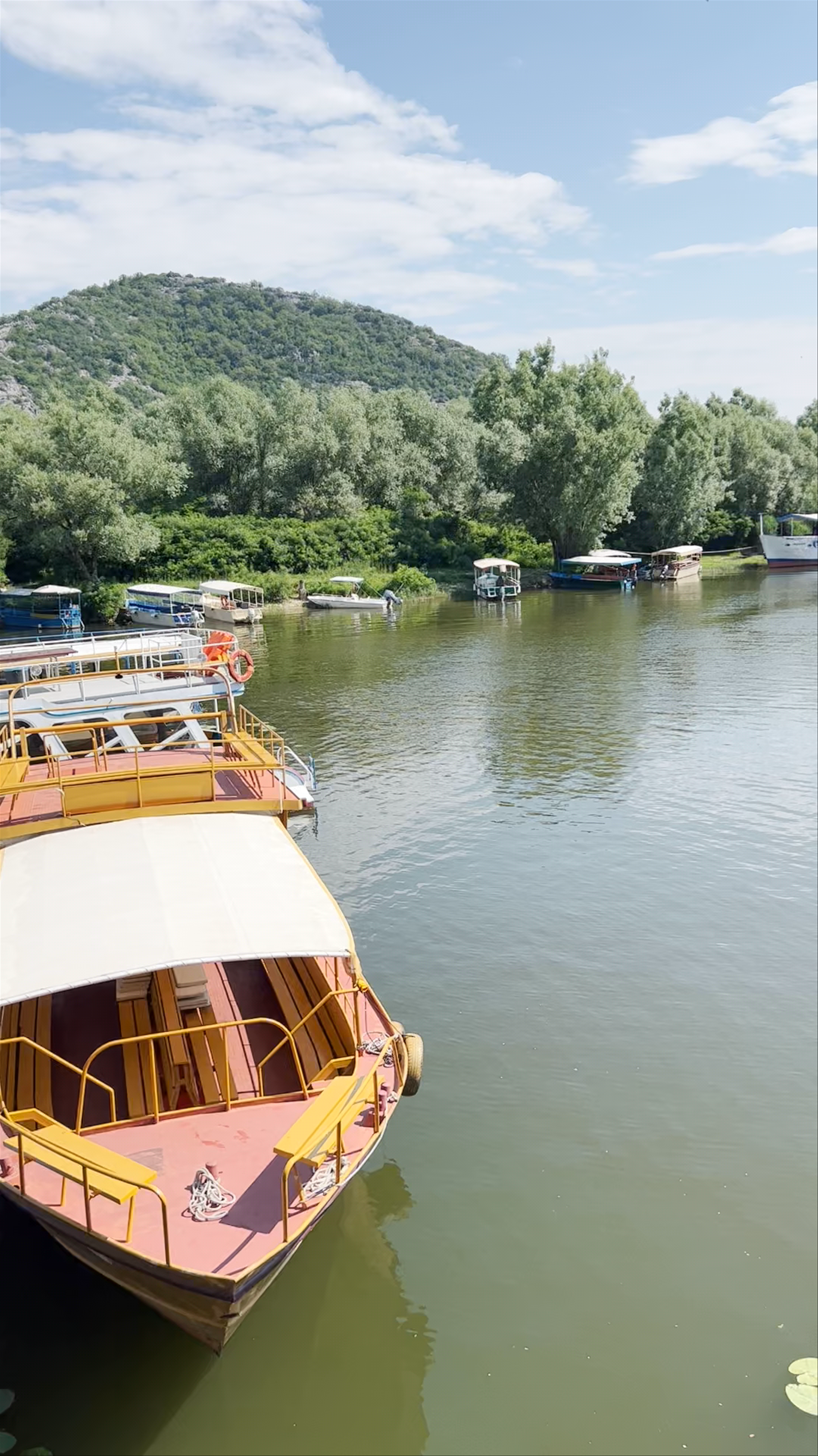 Virpazar Stone Bridge