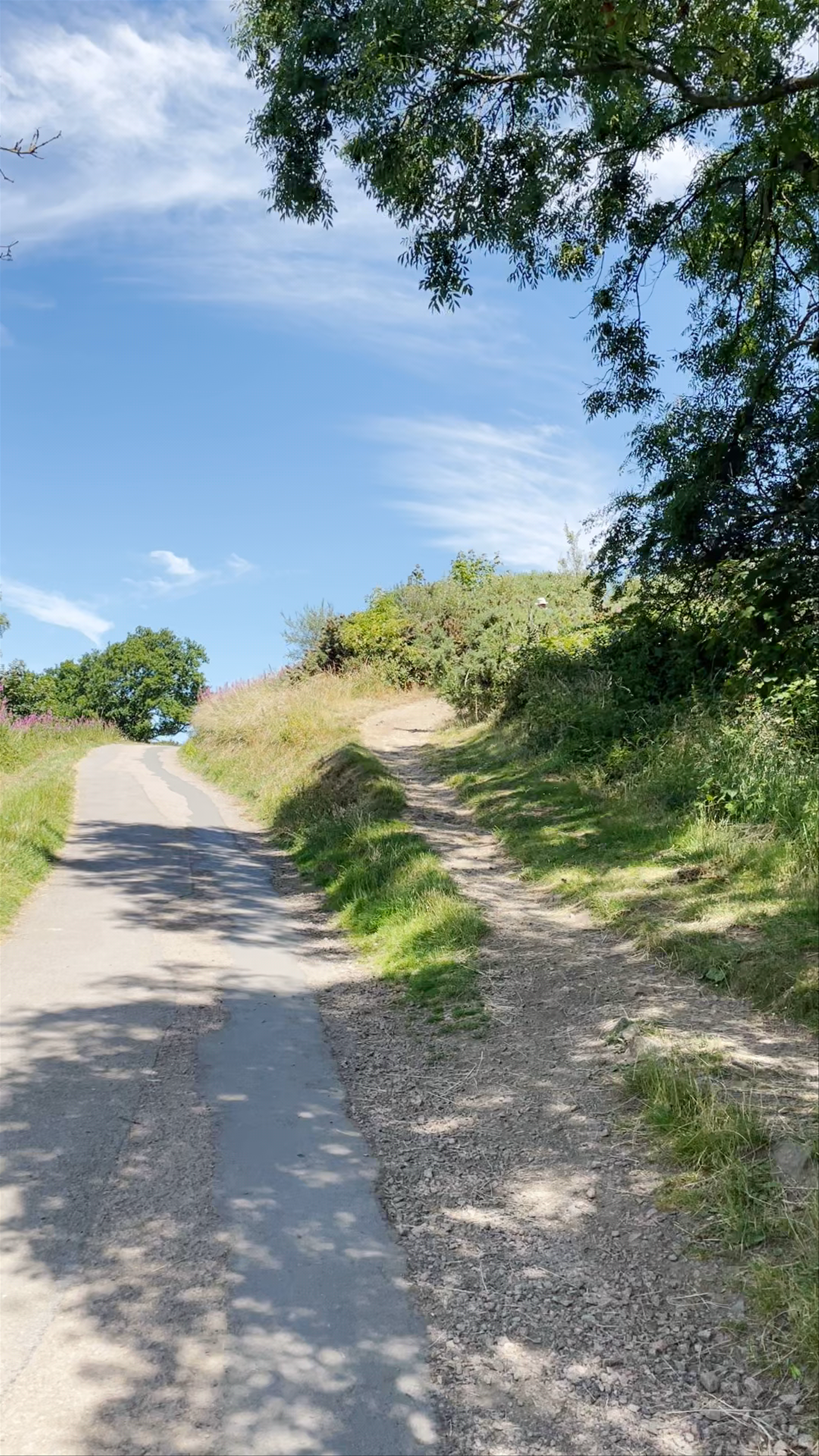 Worcestershire Beacon Hike: Scenic Nature Walk in Malvern Hills