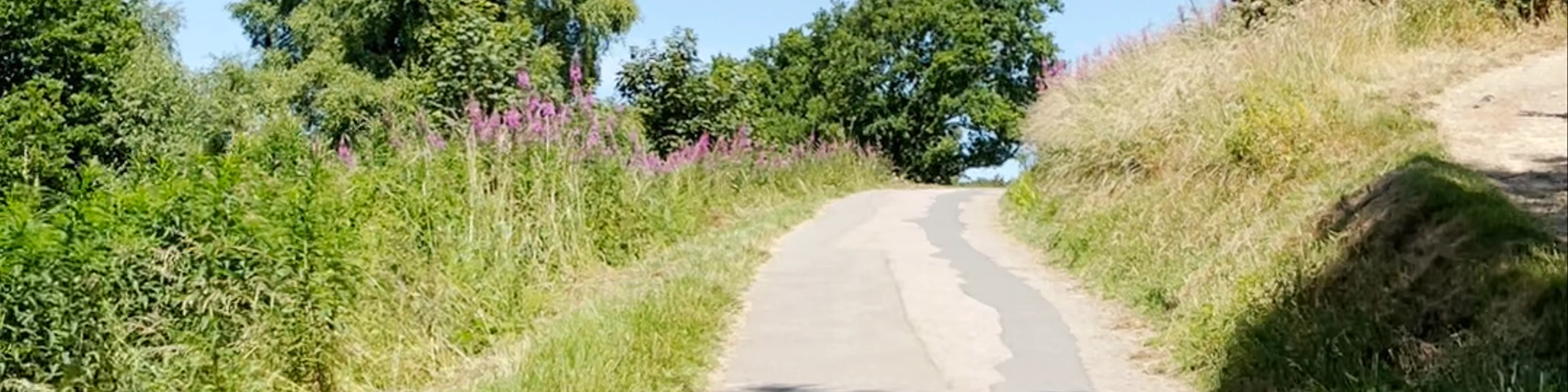 Worcestershire Beacon