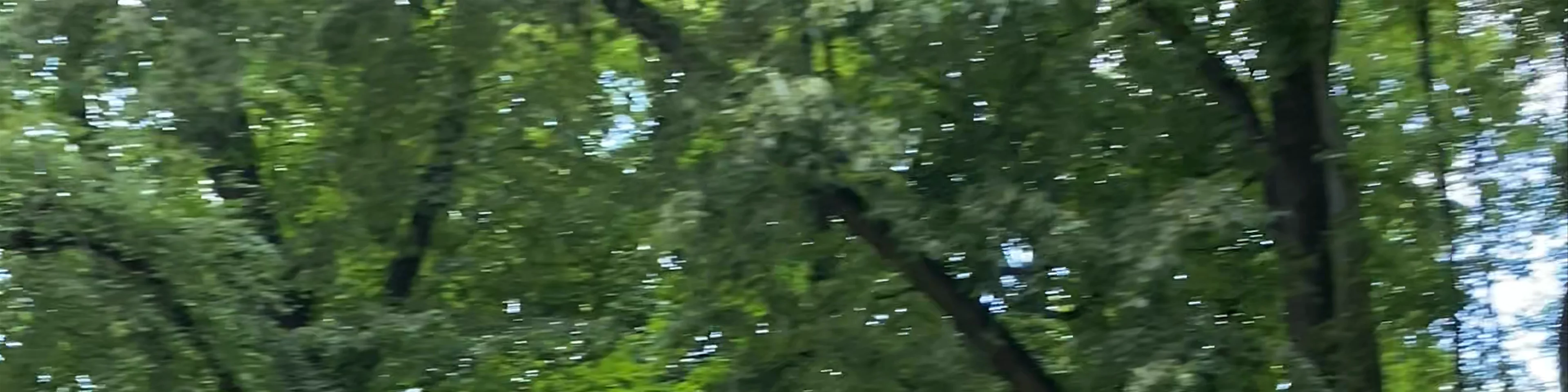 Park Skaryszewski im. Ignacego Jana Paderewskiego